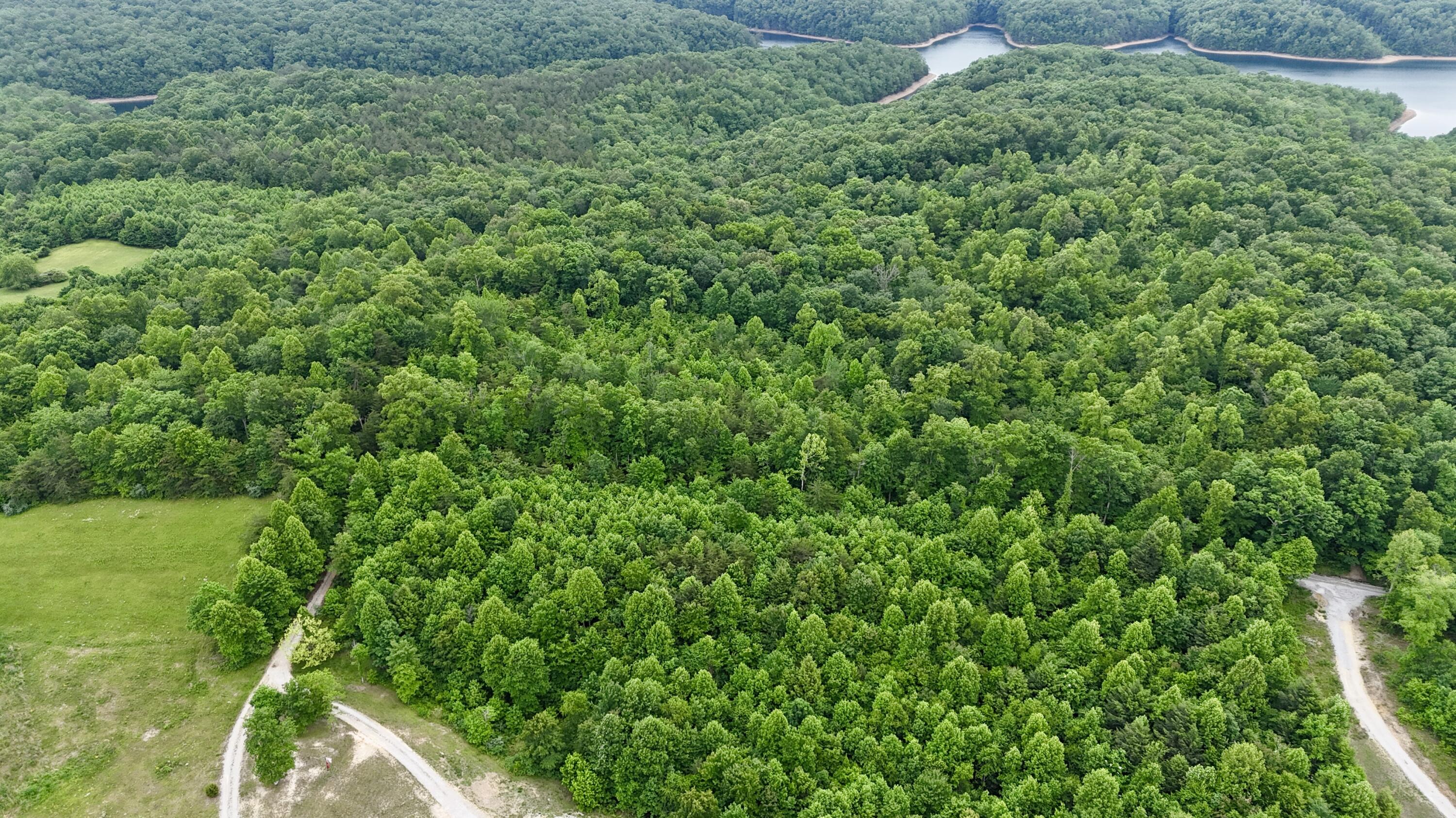 9990 Auger Springs Road Property Photo 5