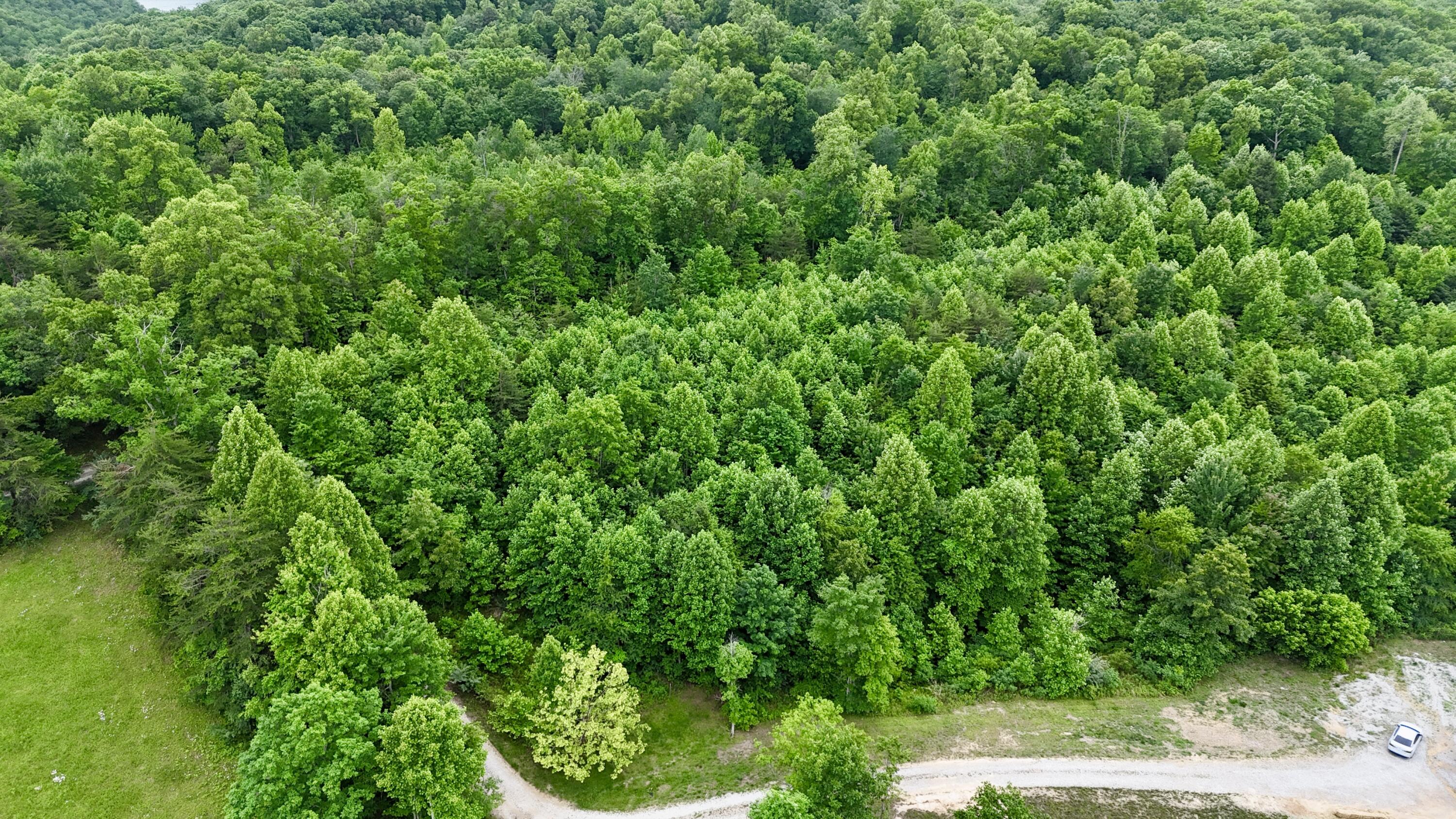 9990 Auger Springs Road Property Photo 6