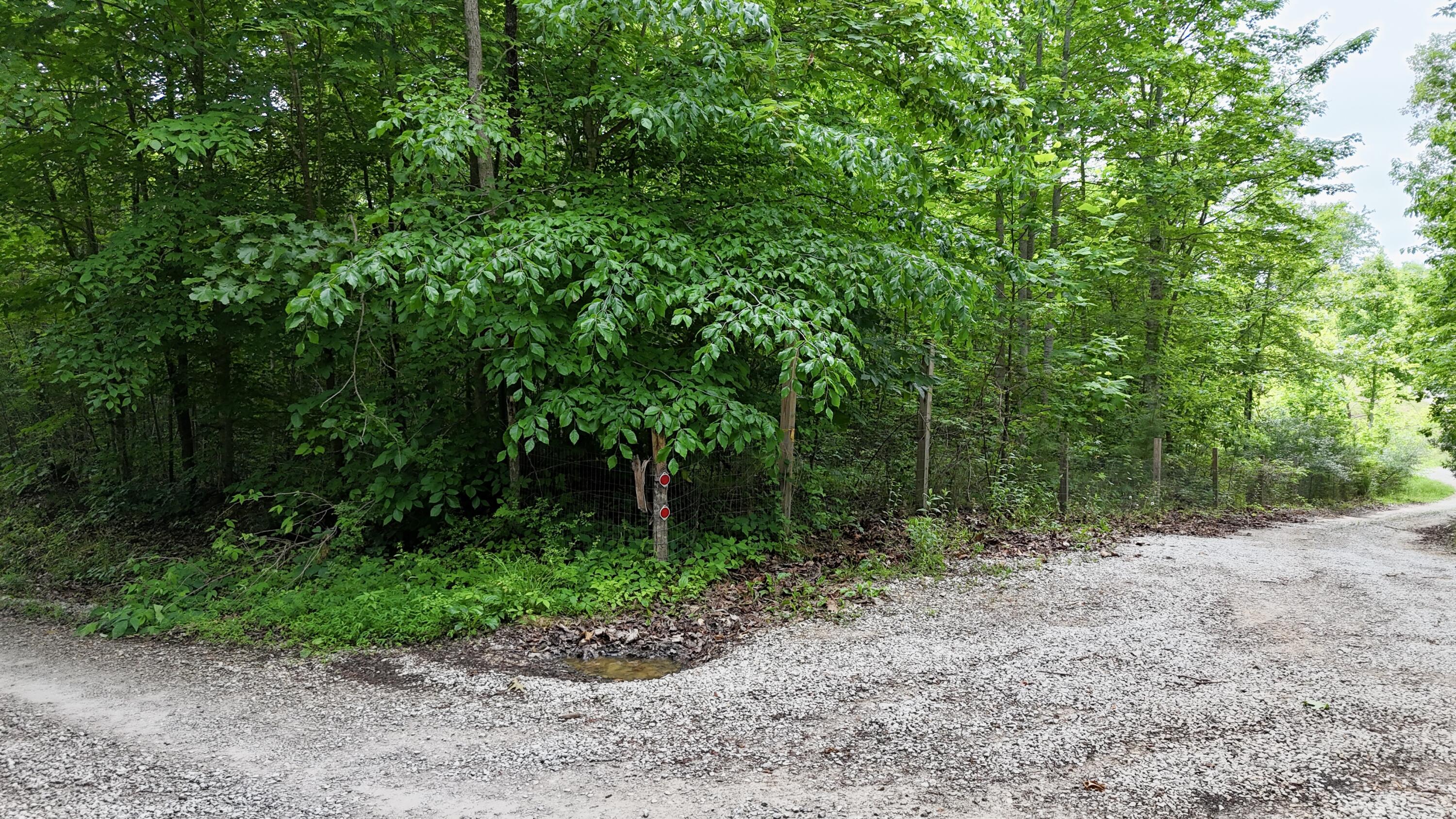 9990 Auger Springs Road Property Photo 7
