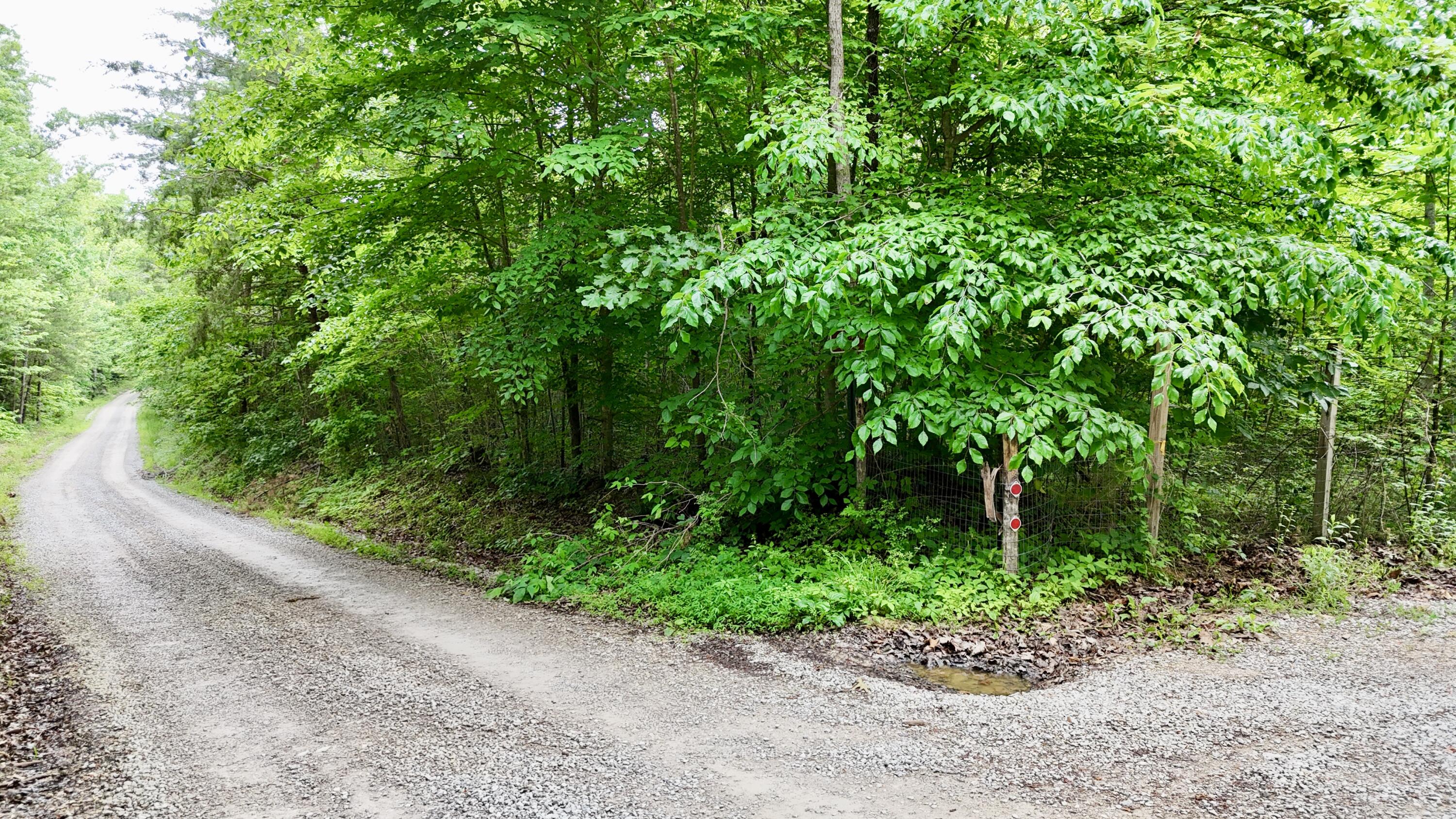 9990 Auger Springs Road Property Photo 8