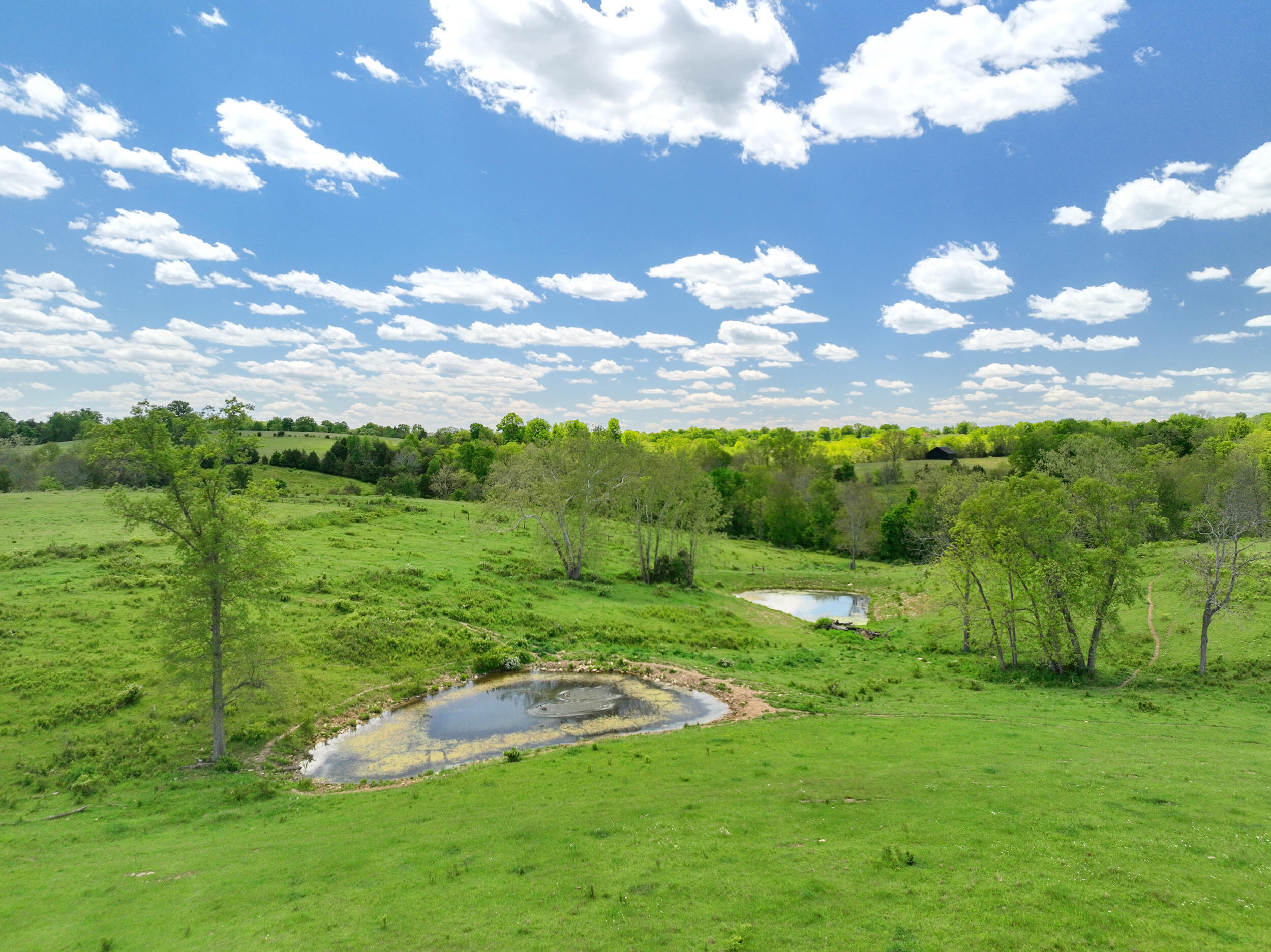 3560 Renaker-berry Road Property Photo 14