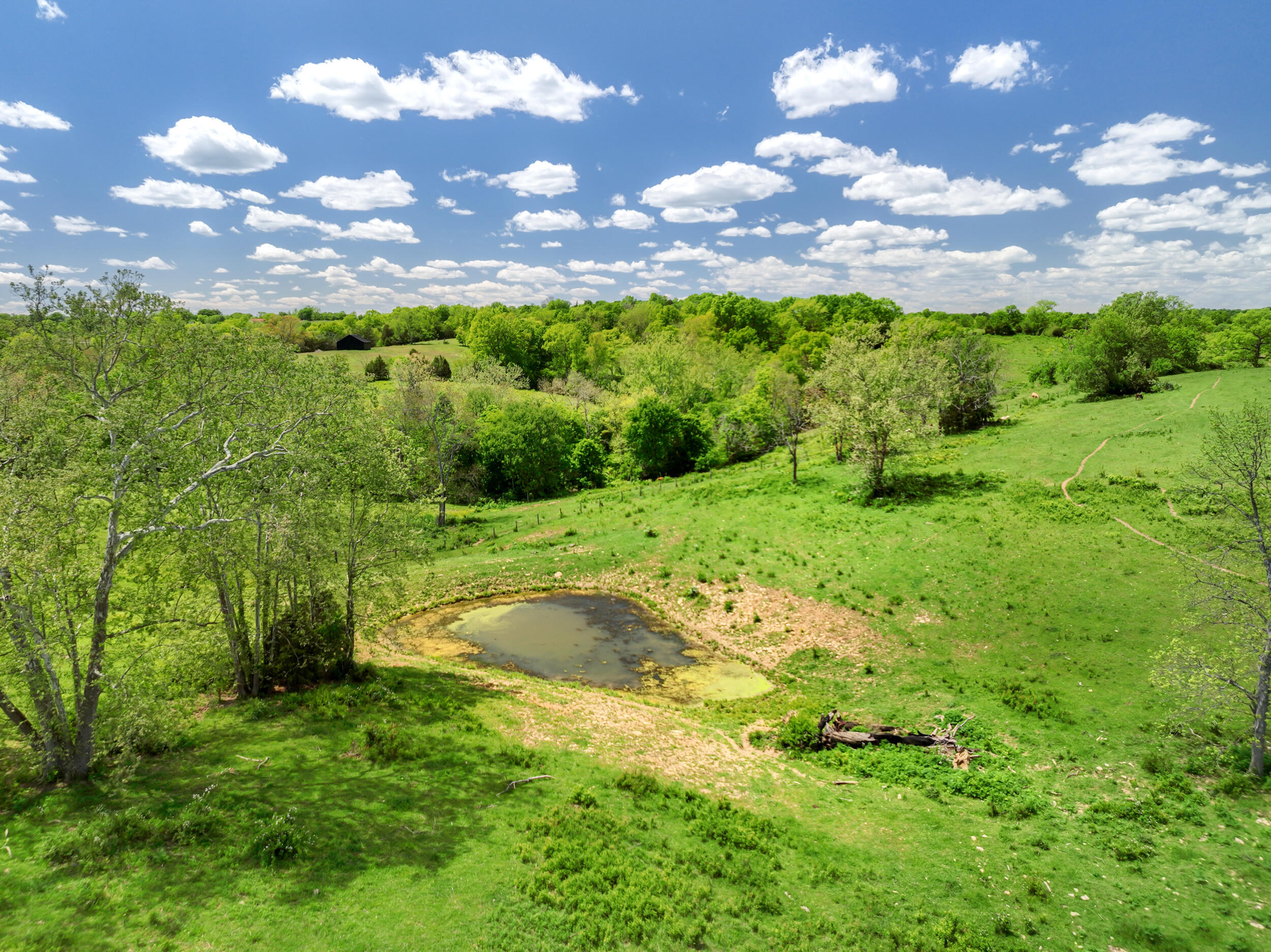 3560 Renaker-berry Road Property Photo 16