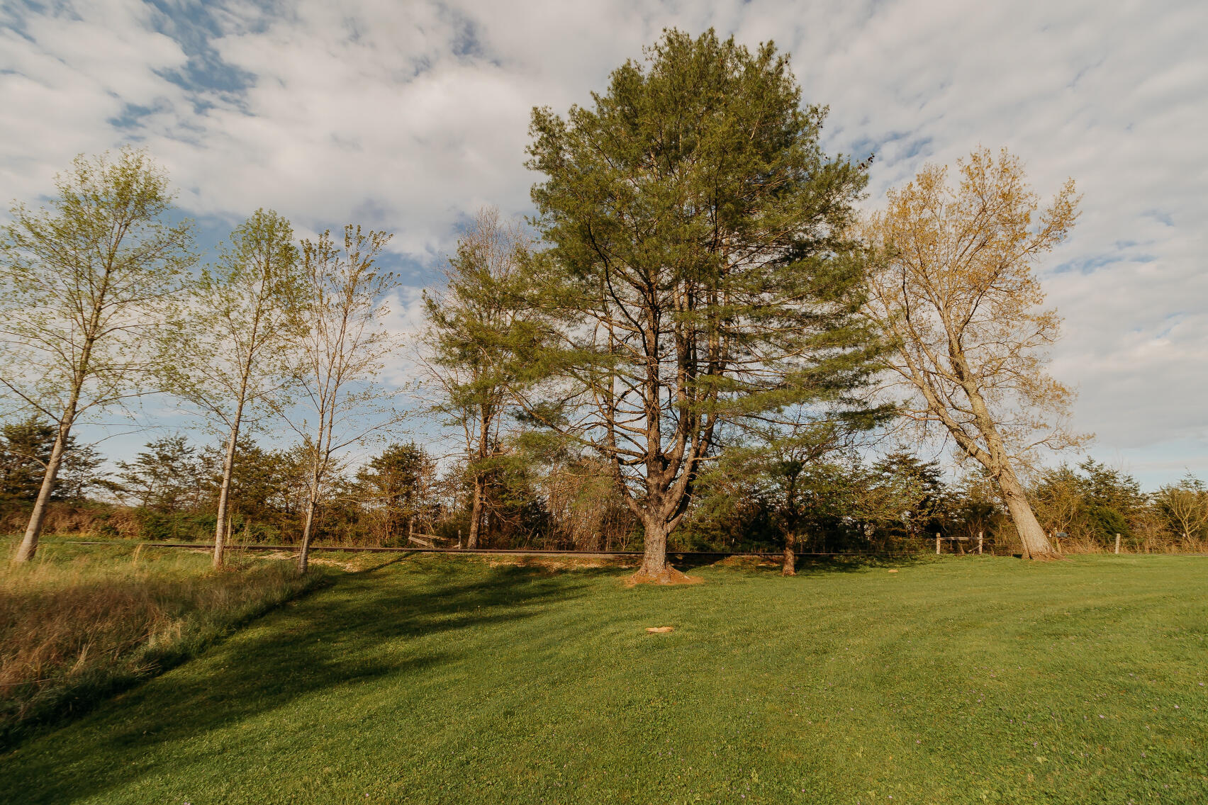 6177 746 Highway Property Photo 5