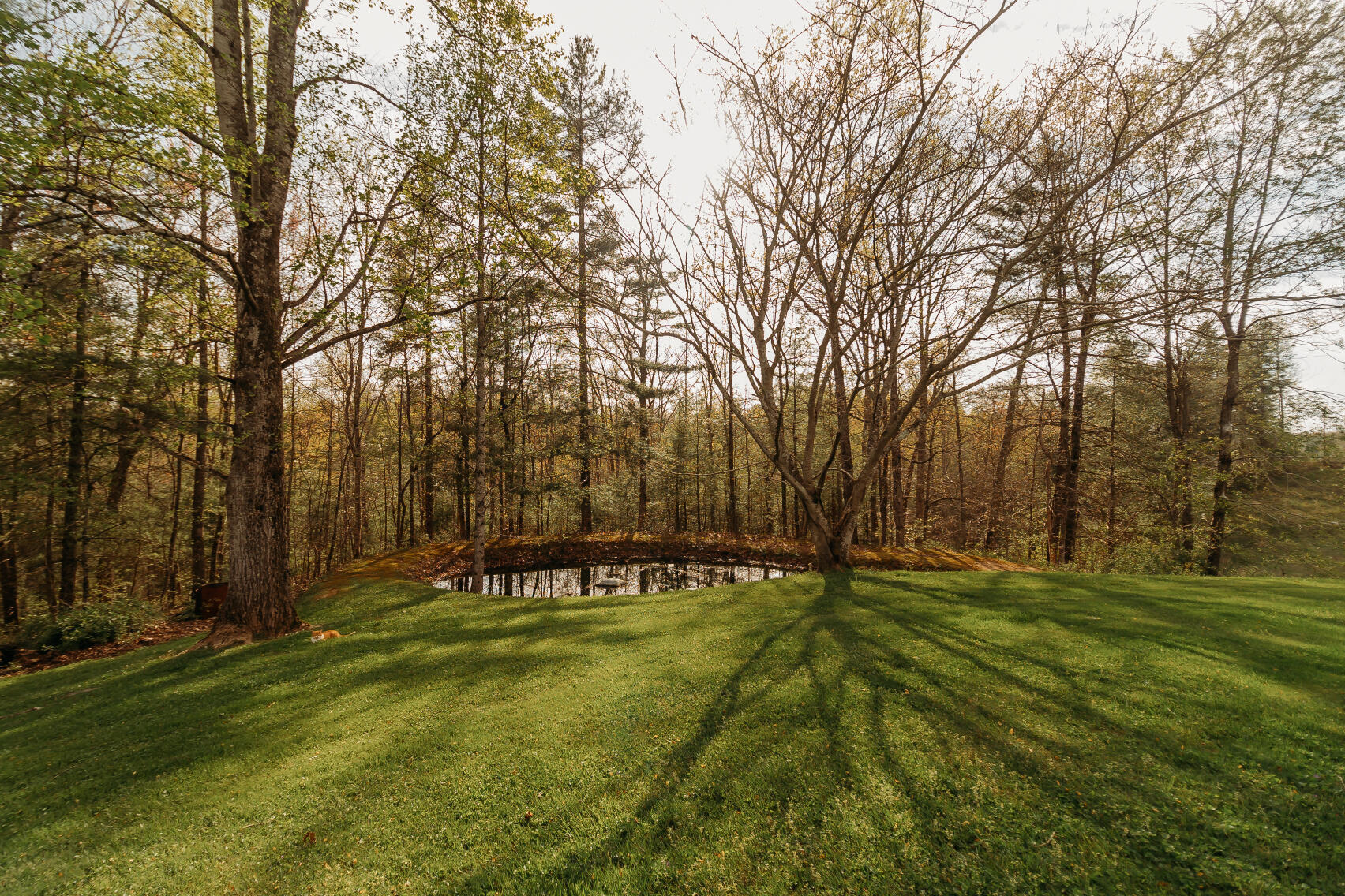 6177 746 Highway Property Photo 19