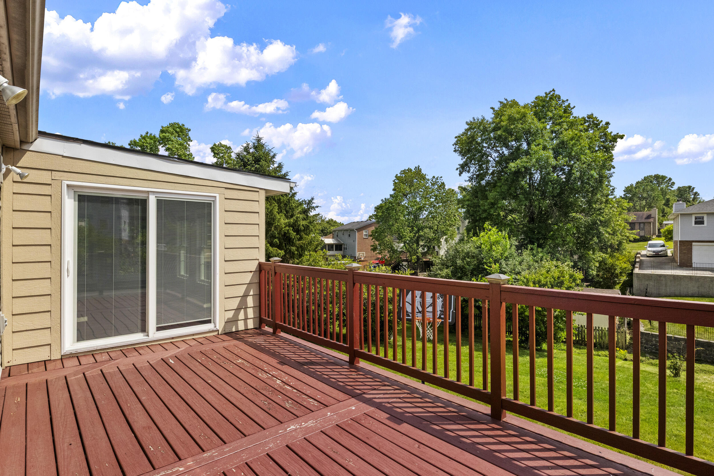 3780 Dicksonia Drive Property Photo 44