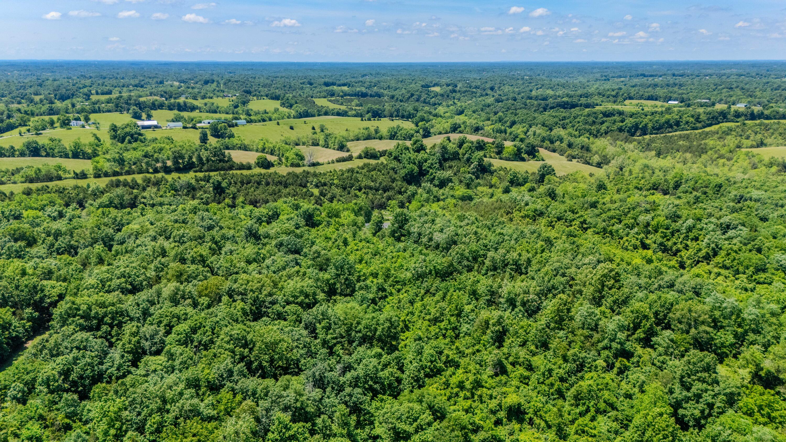 1265 Edmonson Road Property Photo 46