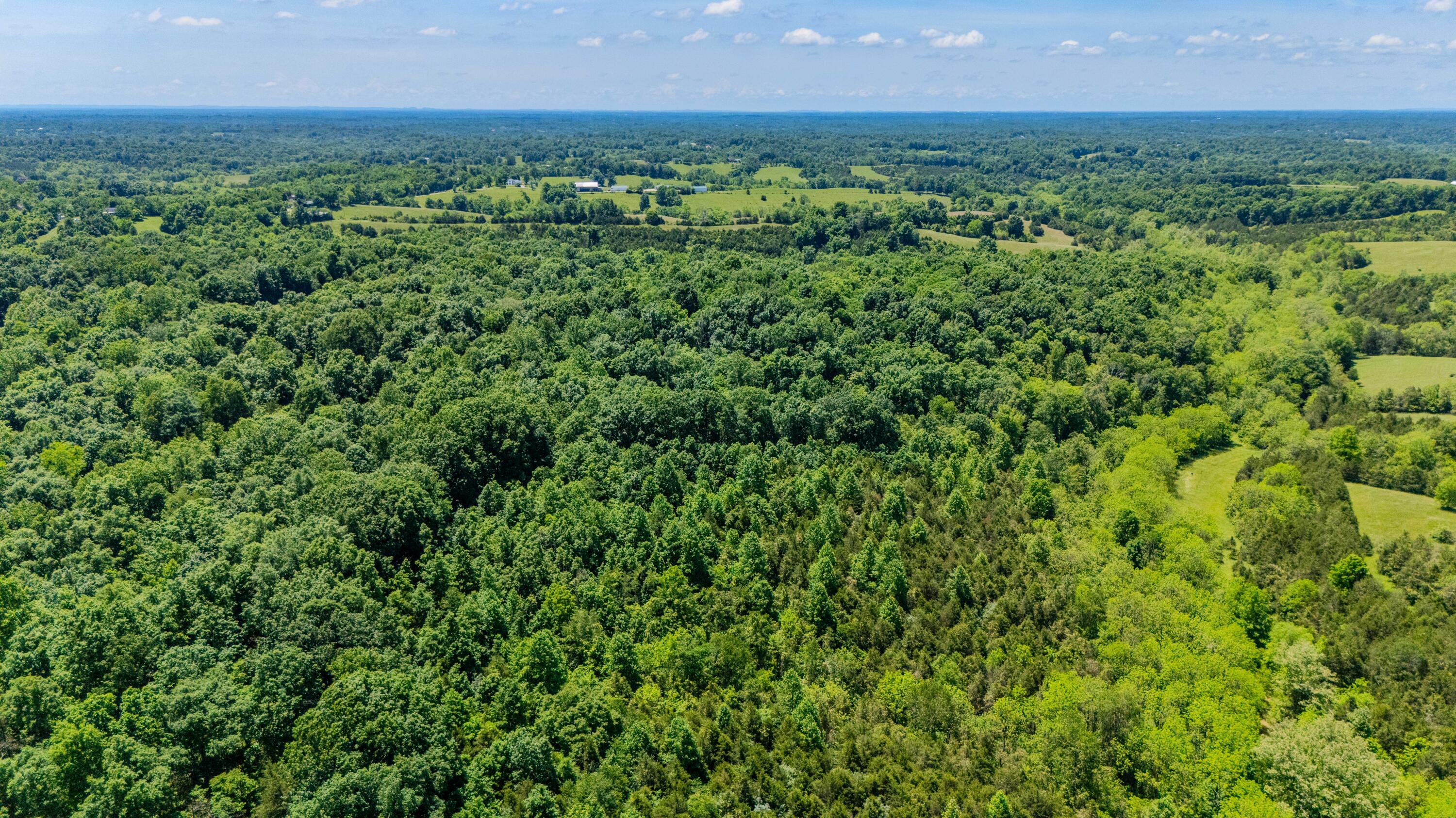 1265 Edmonson Road Property Photo 47