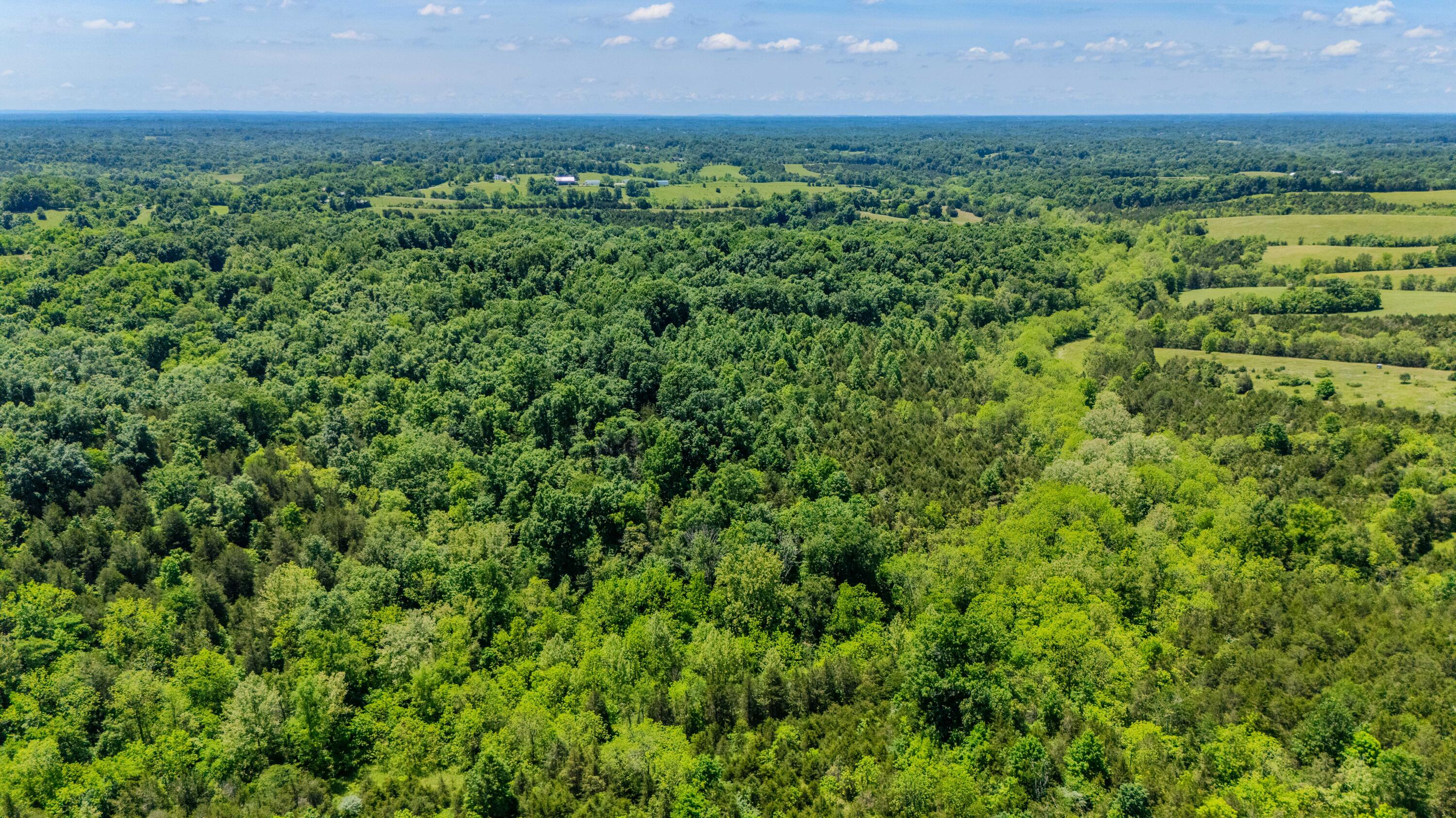 1265 Edmonson Road Property Photo 48