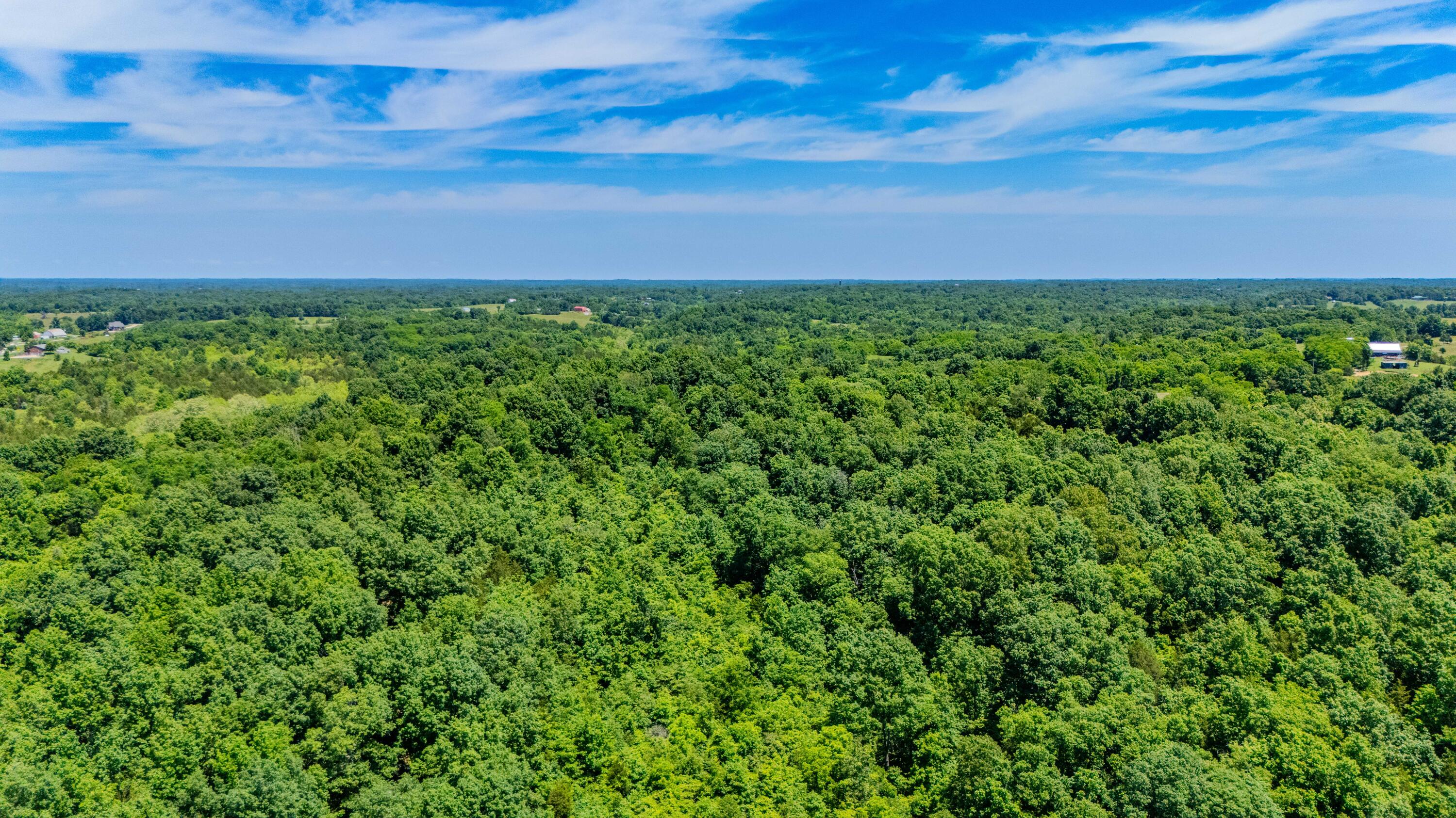 1265 Edmonson Road Property Photo 56