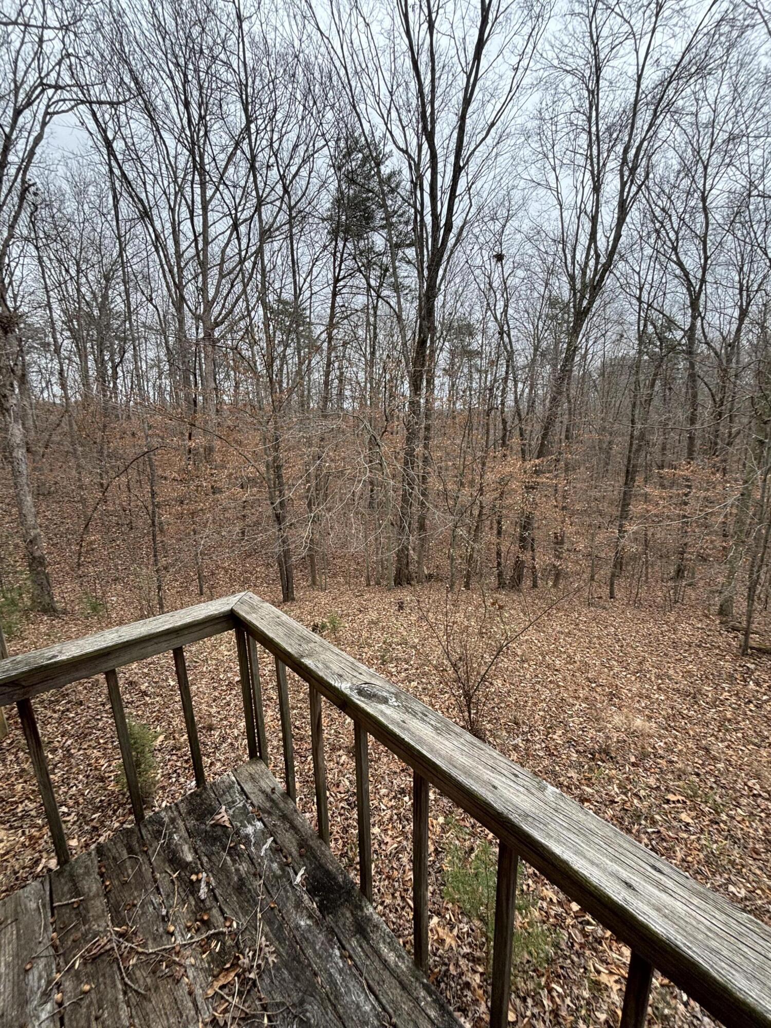 86 Elm Avenue Property Photo 15