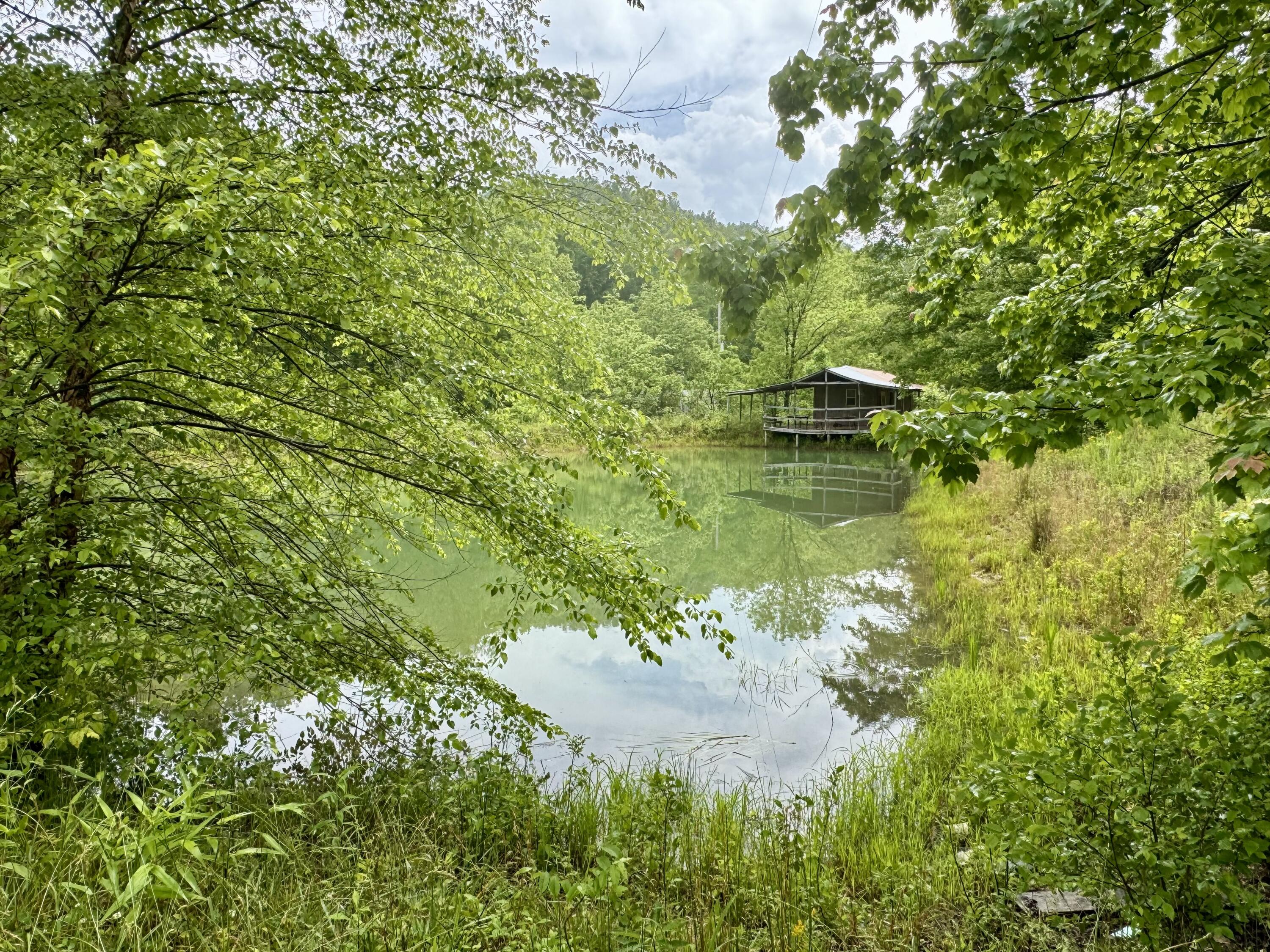 88 Mae Gumm Road Property Photo 3