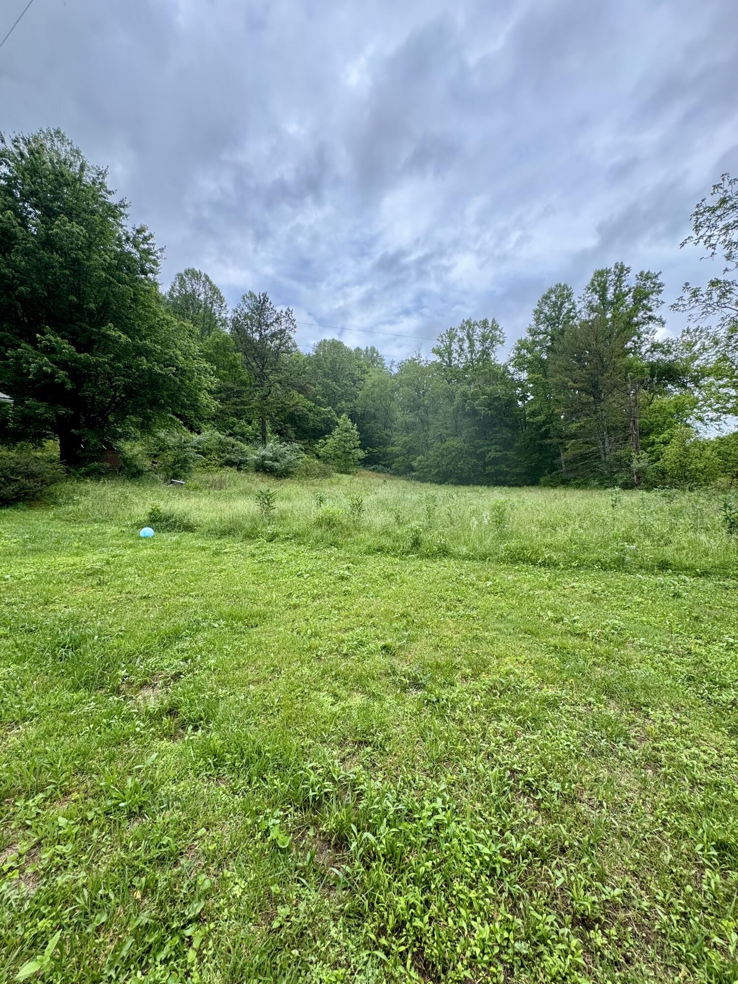 88 Mae Gumm Road Property Photo 23