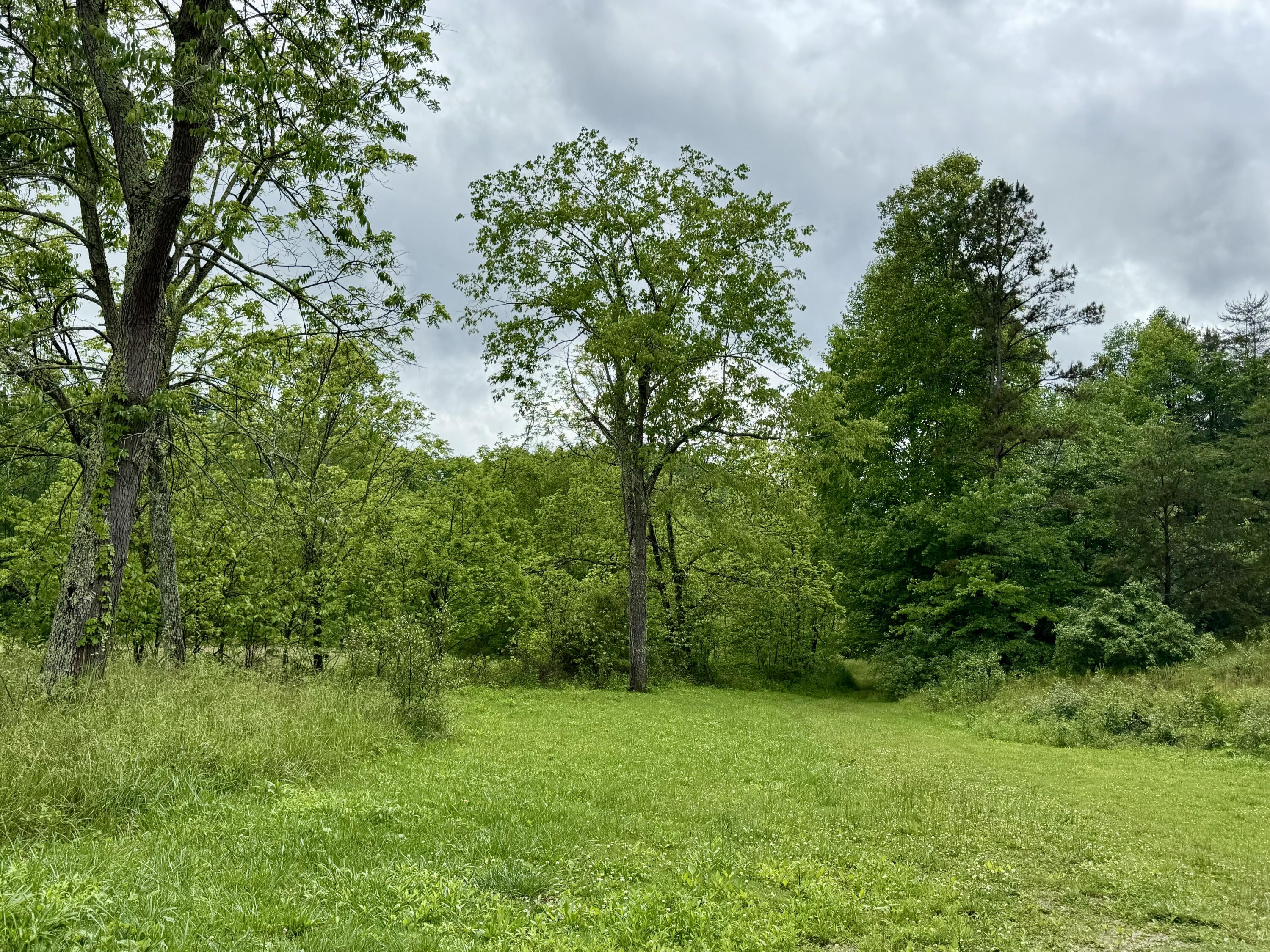 88 Mae Gumm Road Property Photo 25