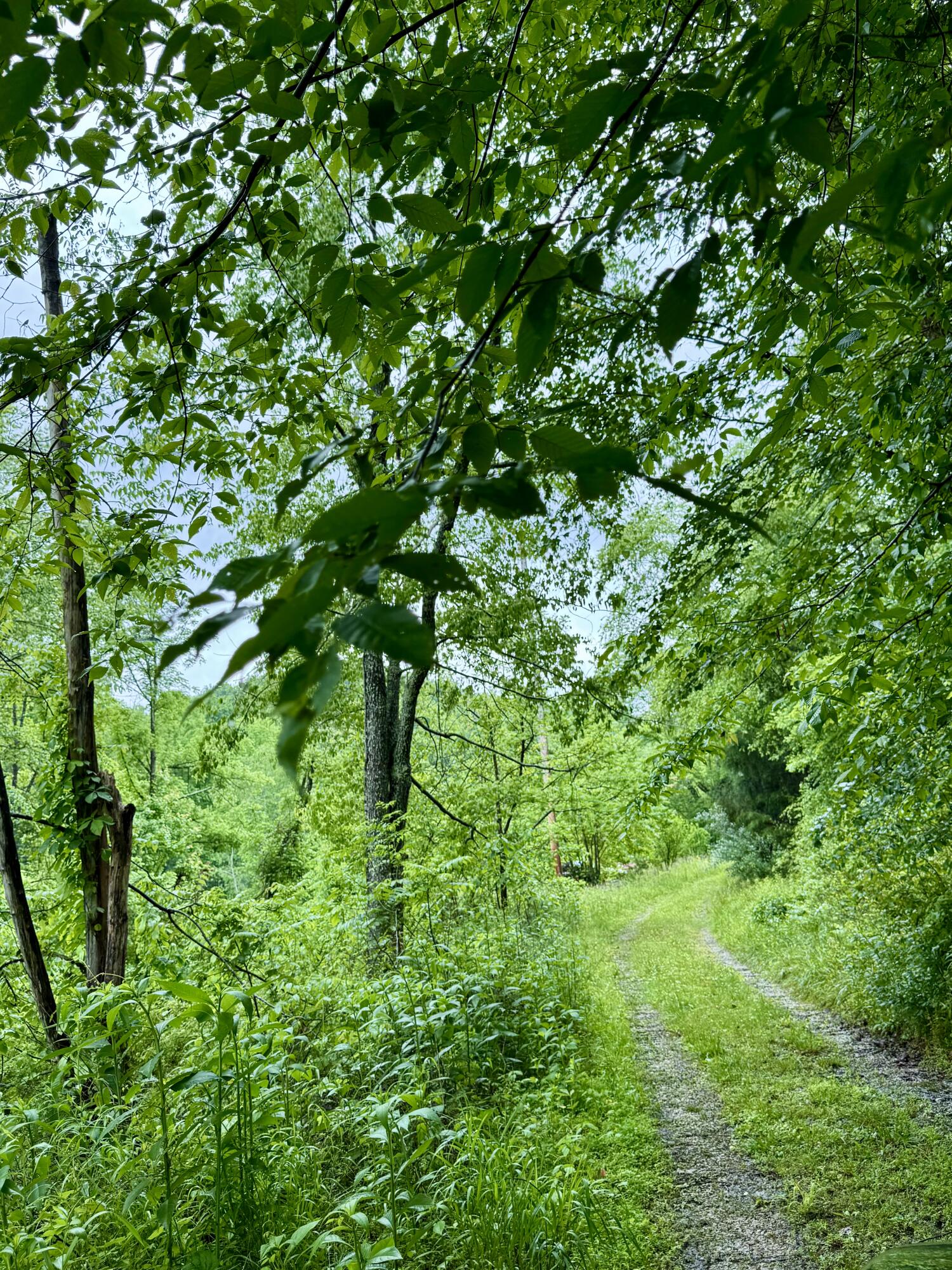 88 Mae Gumm Road Property Photo 26