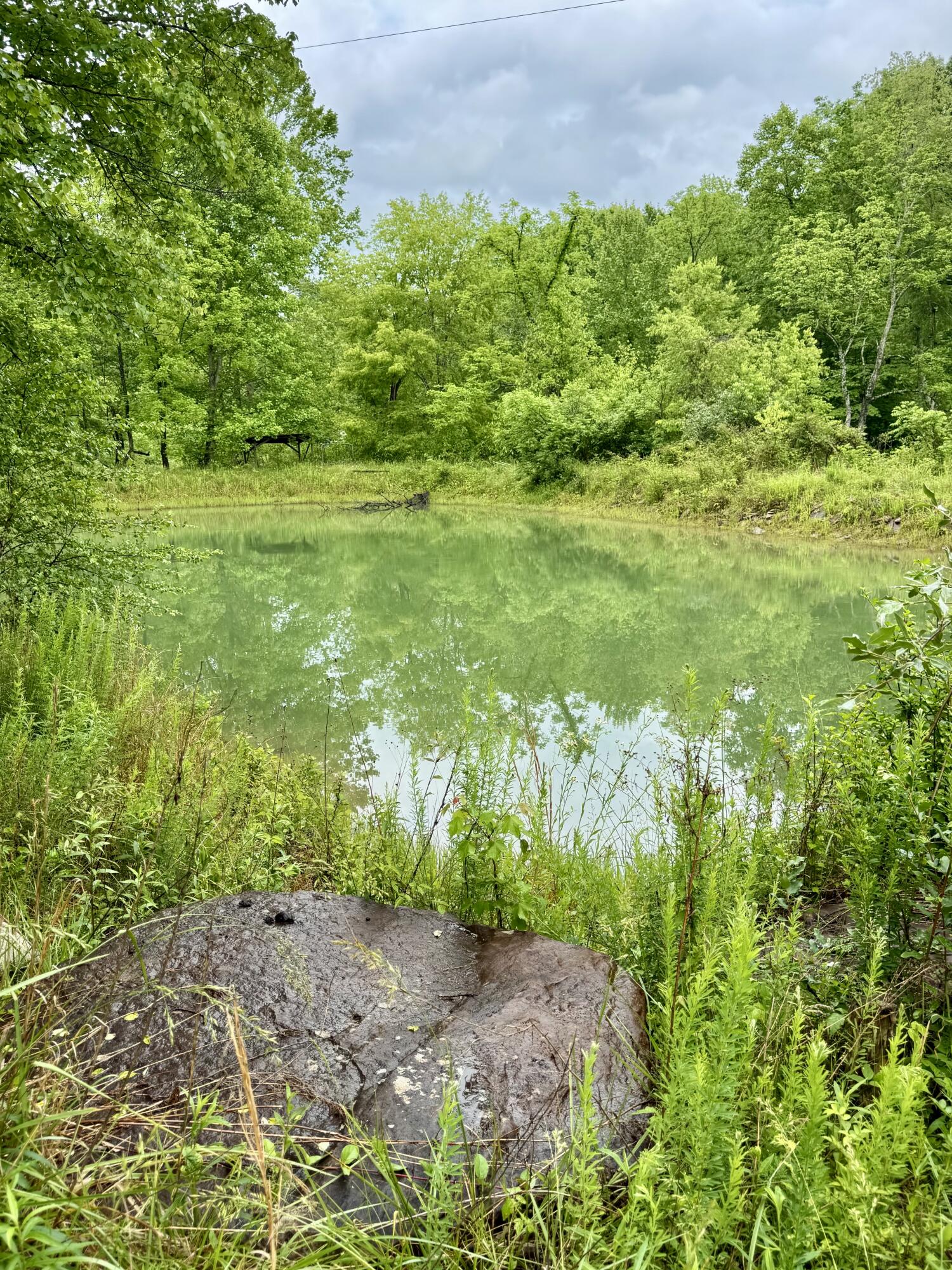 88 Mae Gumm Road Property Photo 31