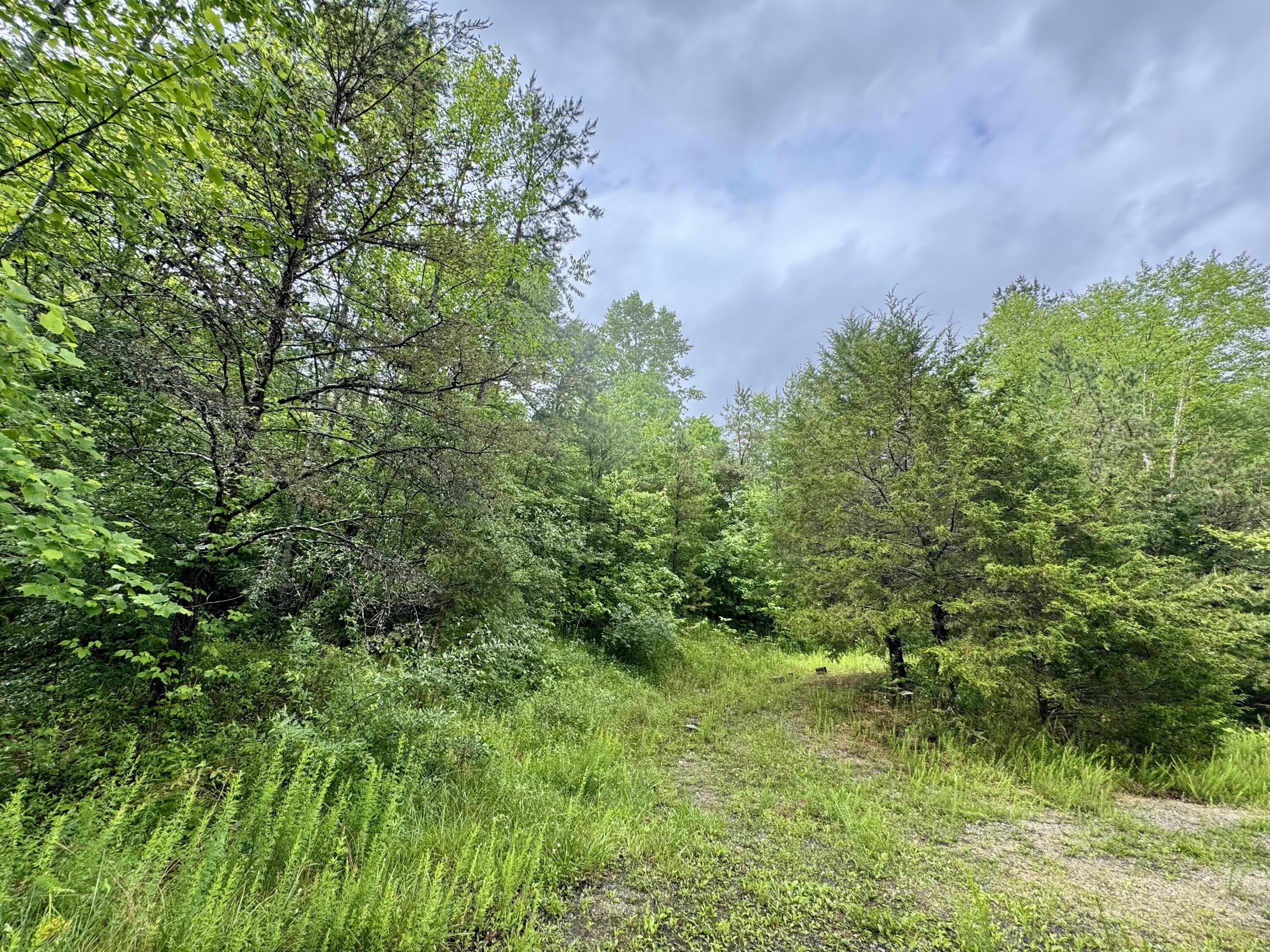 88 Mae Gumm Road Property Photo 35