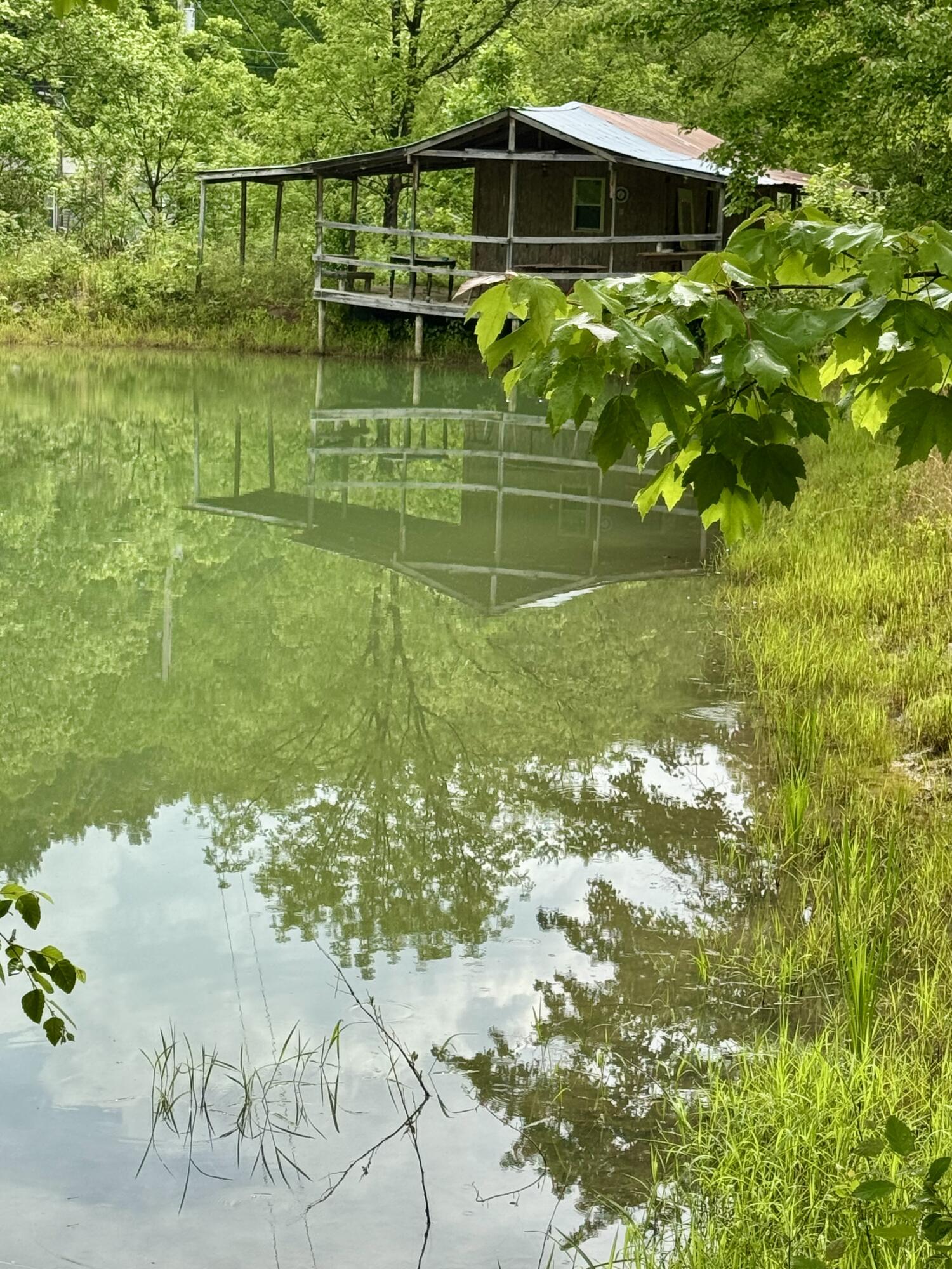 88 Mae Gumm Road Property Photo 37