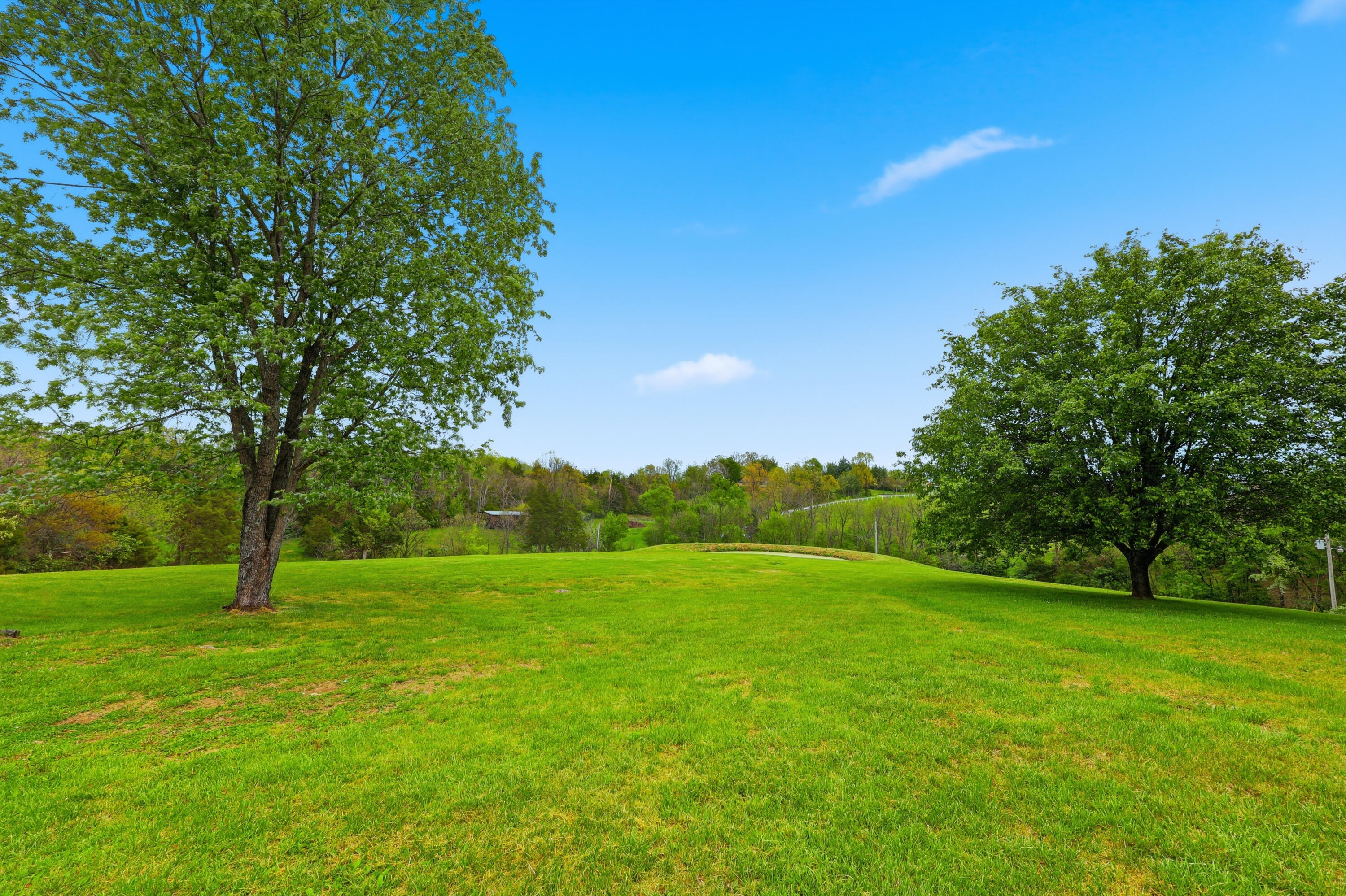 1380 Rice Road Property Photo 37