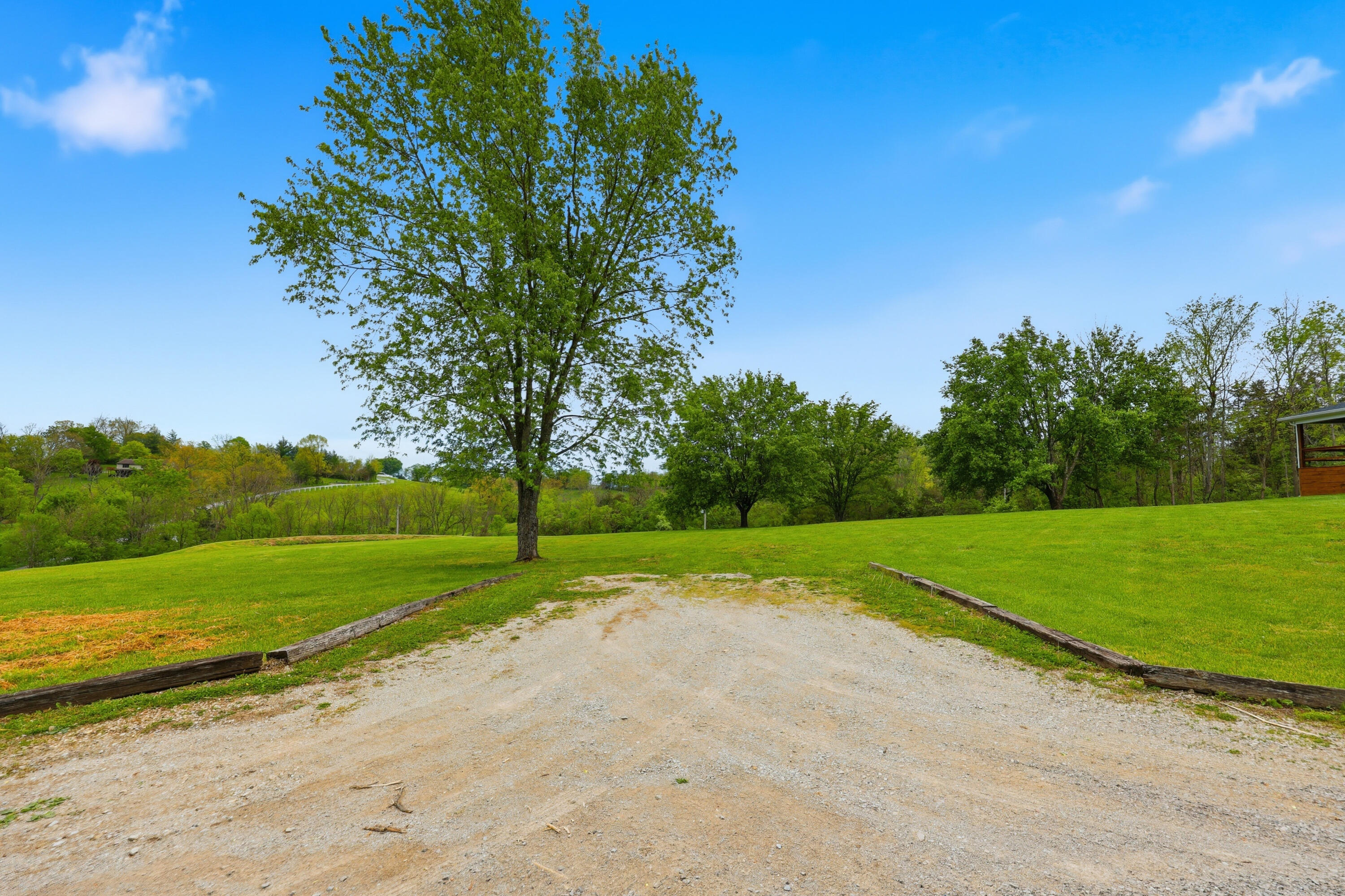 1380 Rice Road Property Photo 85