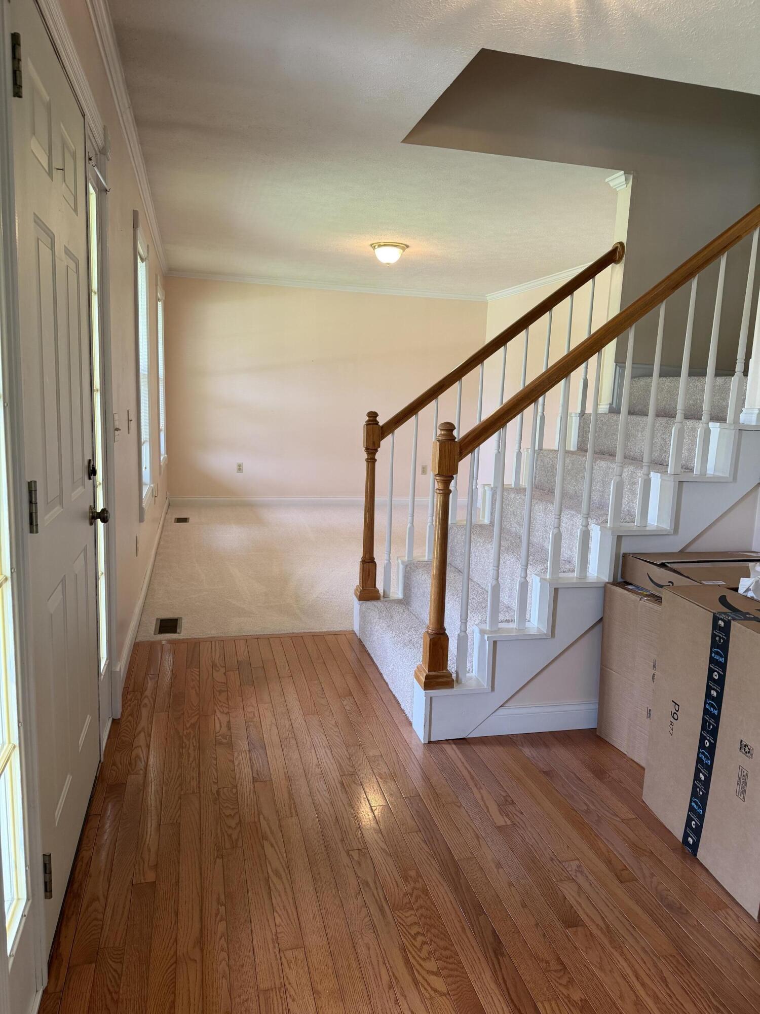 59 Terran Lane Property Photo 6