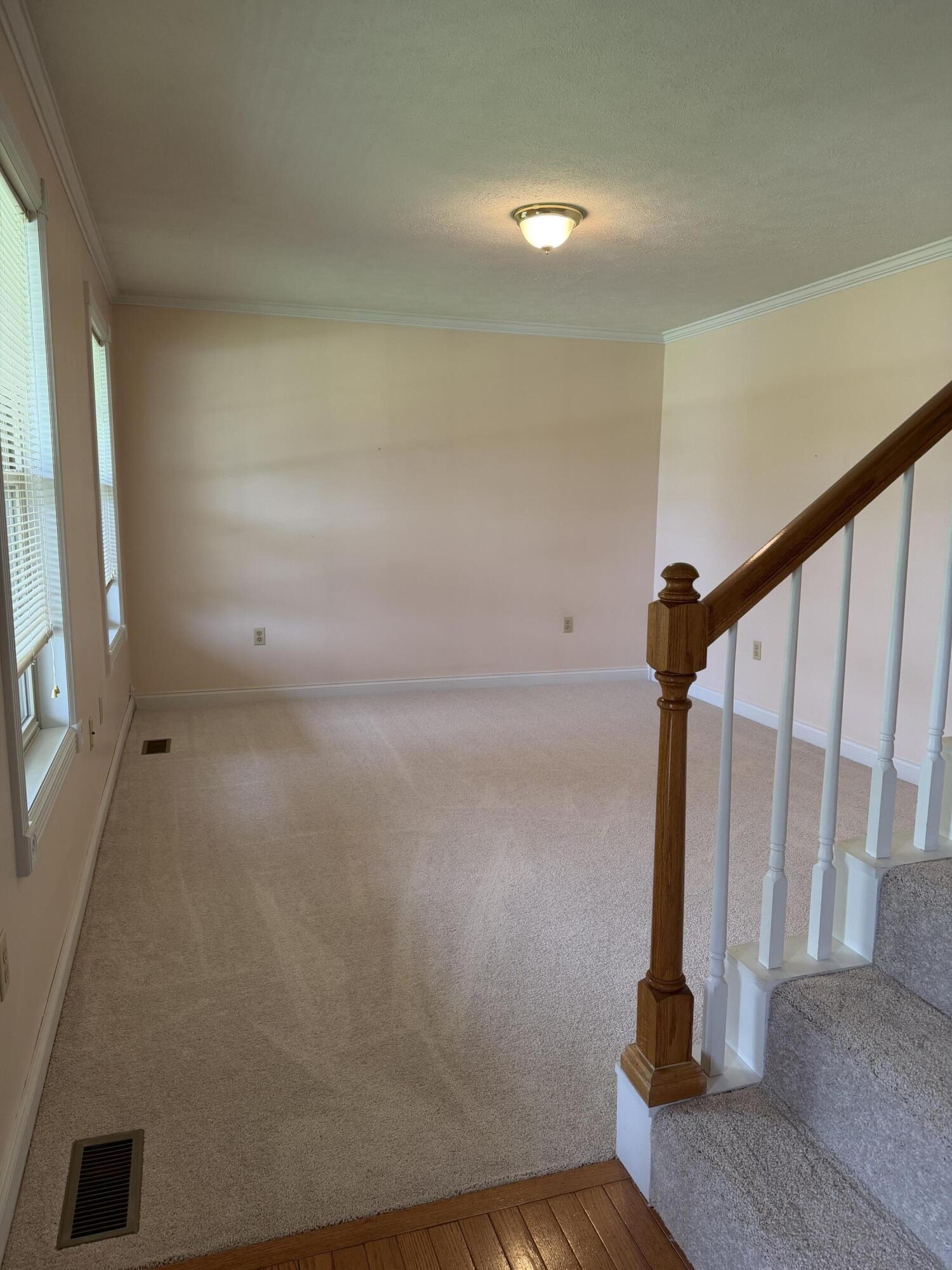 59 Terran Lane Property Photo 8