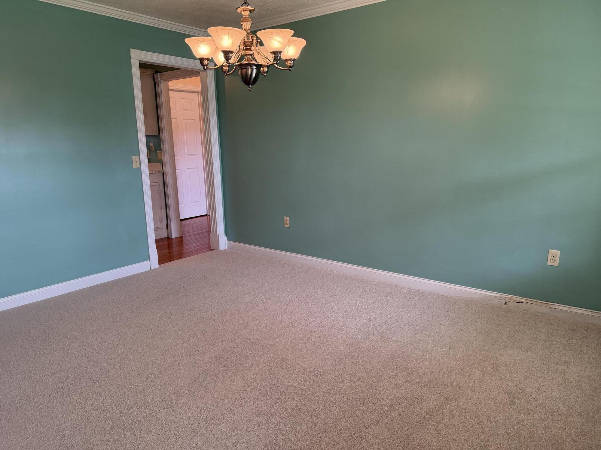 59 Terran Lane Property Photo 10