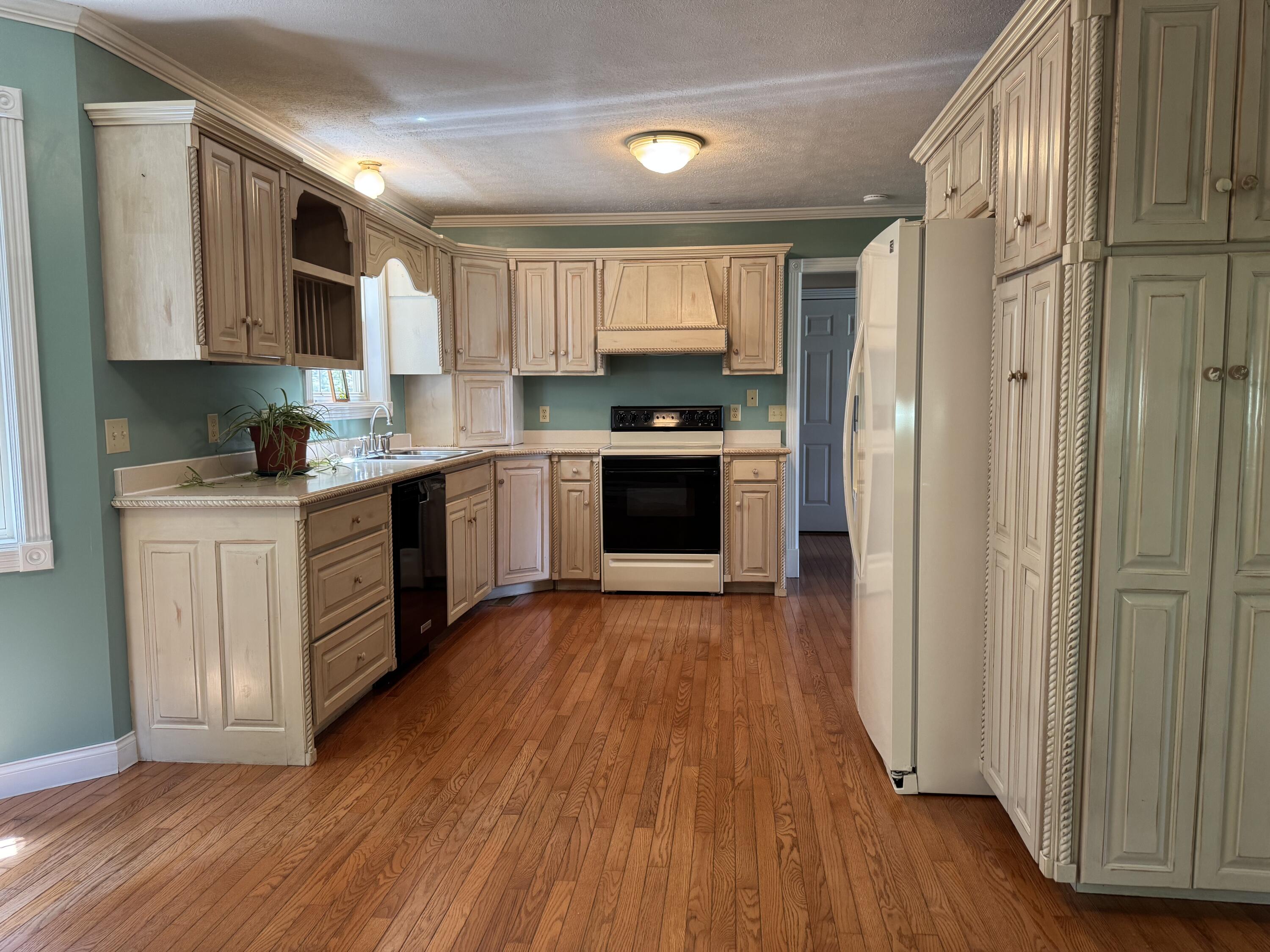 59 Terran Lane Property Photo 18