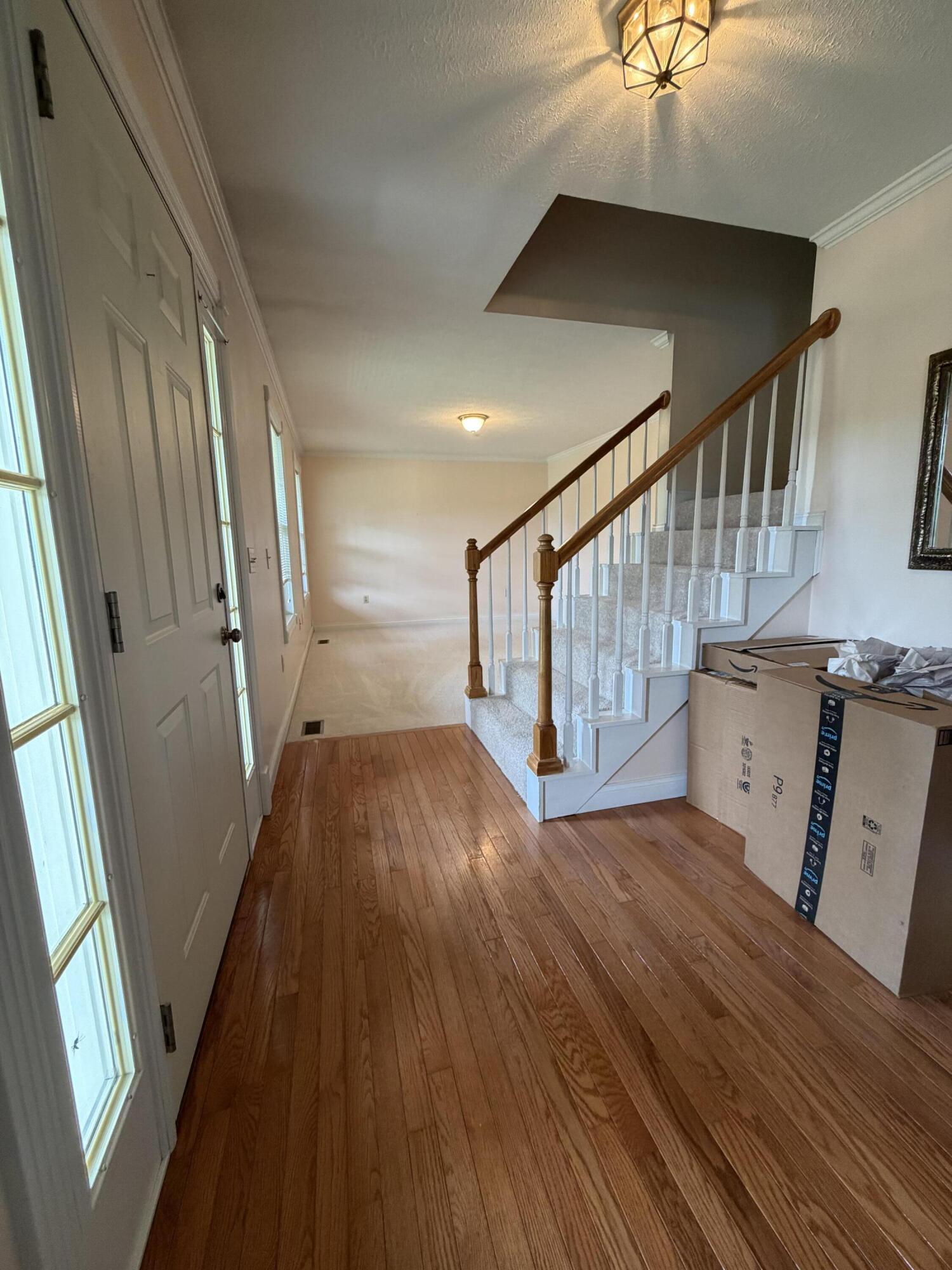 59 Terran Lane Property Photo 29