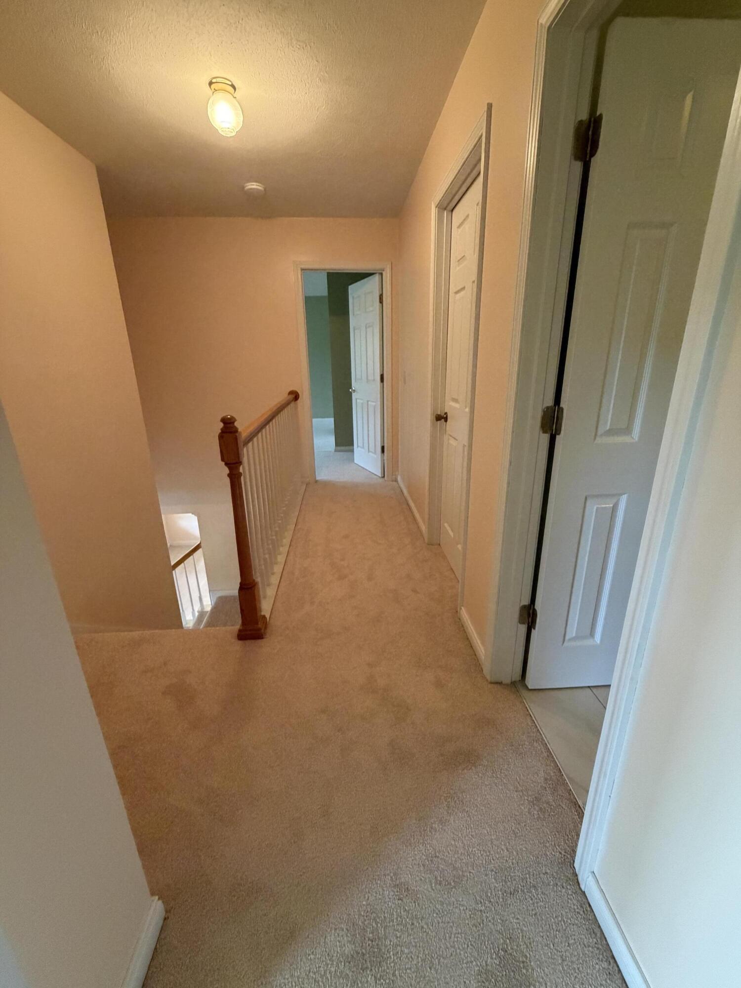 59 Terran Lane Property Photo 80