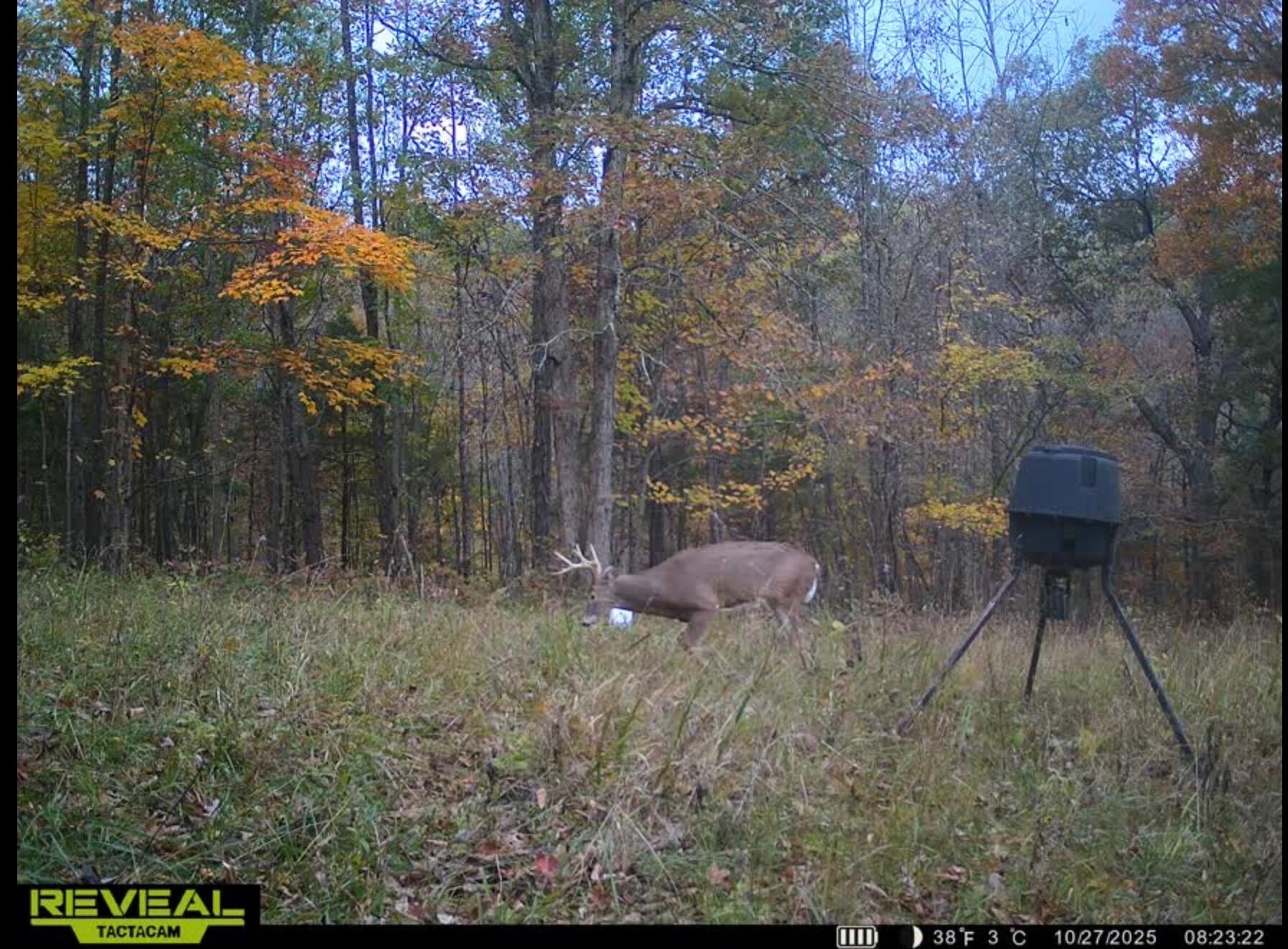 1485 N Rays Fork Road Property Photo 55