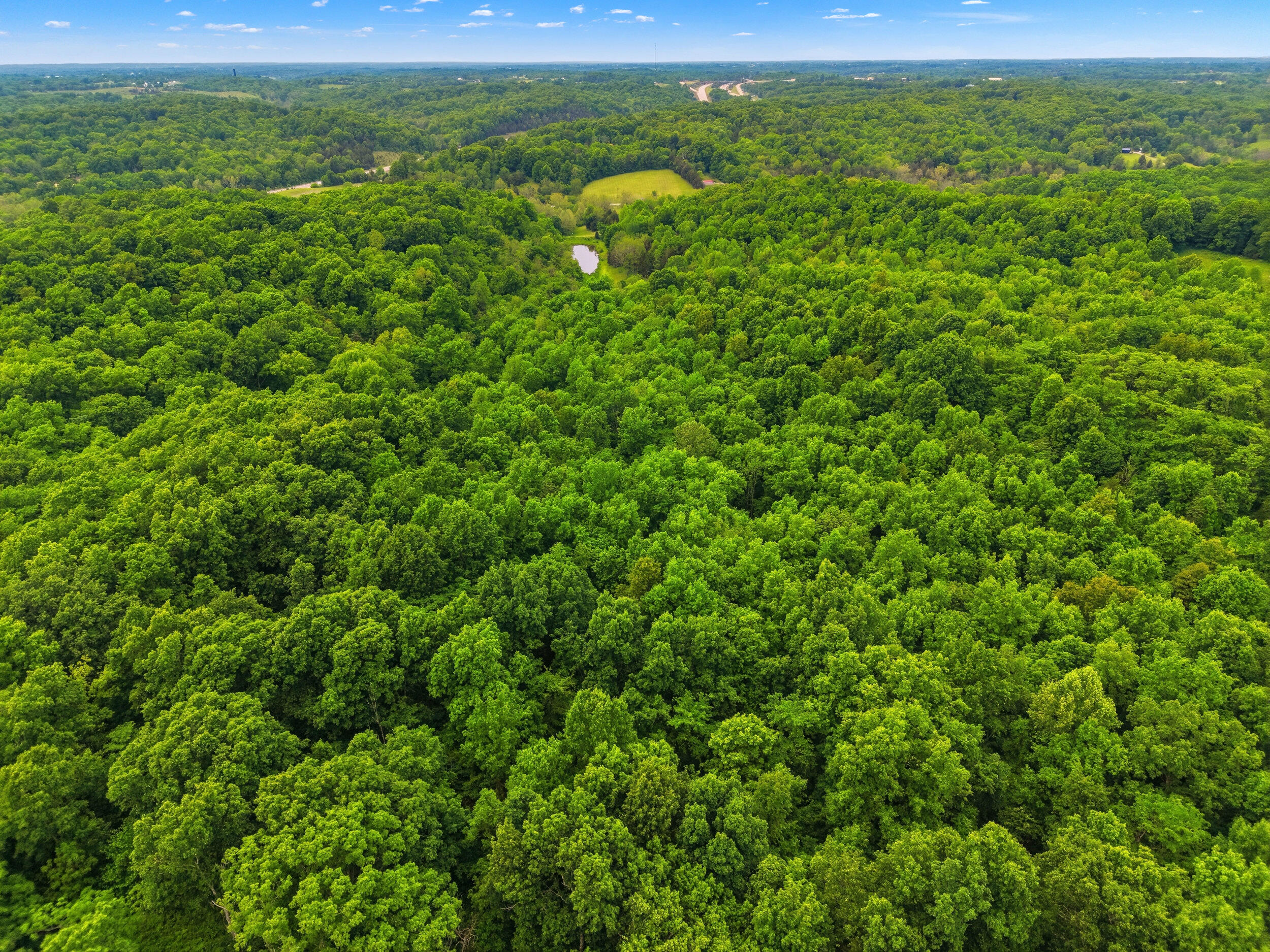 1485 N Rays Fork Road Property Photo 60