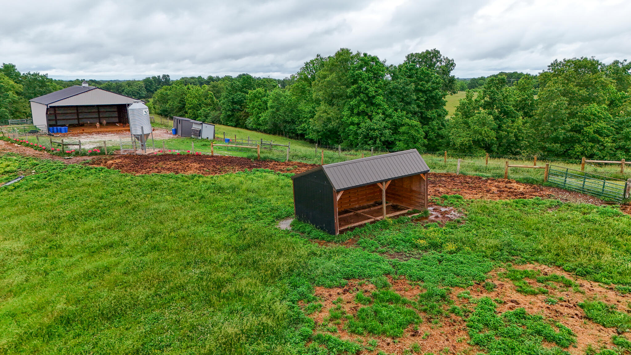 1121a Ashby Road Property Photo 6