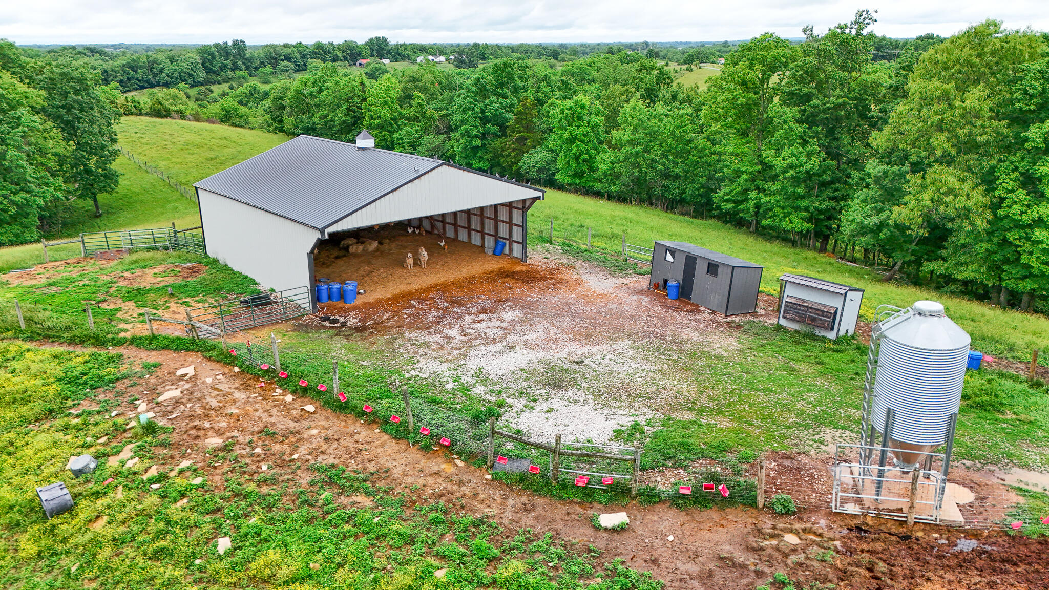 1121a Ashby Road Property Photo 8