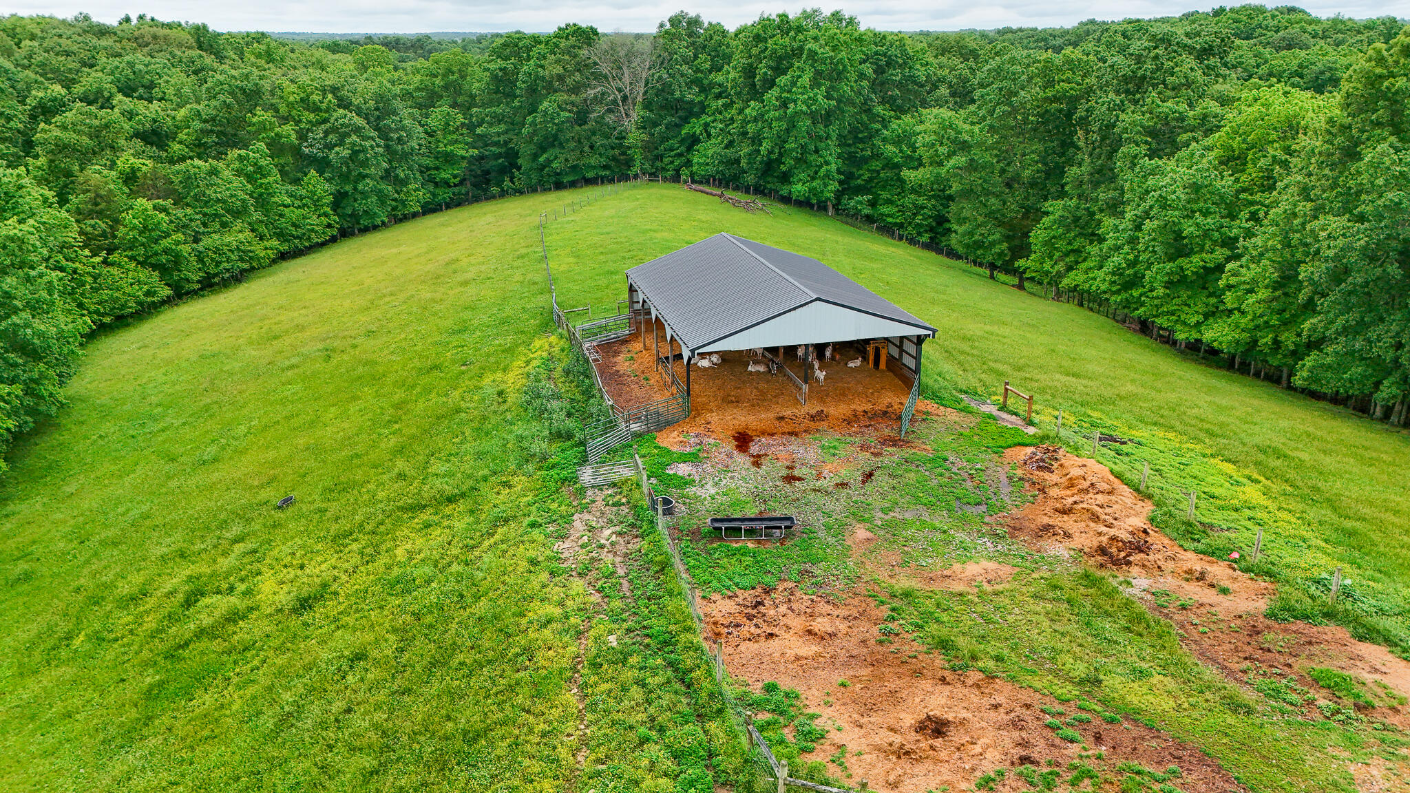 1121a Ashby Road Property Photo 12