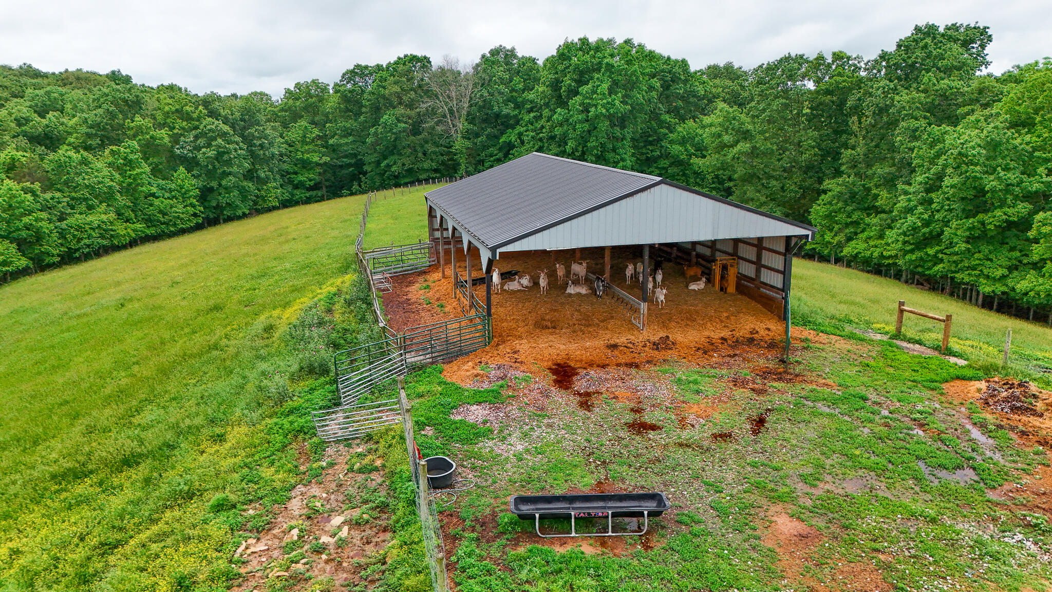 1121a Ashby Road Property Photo 13