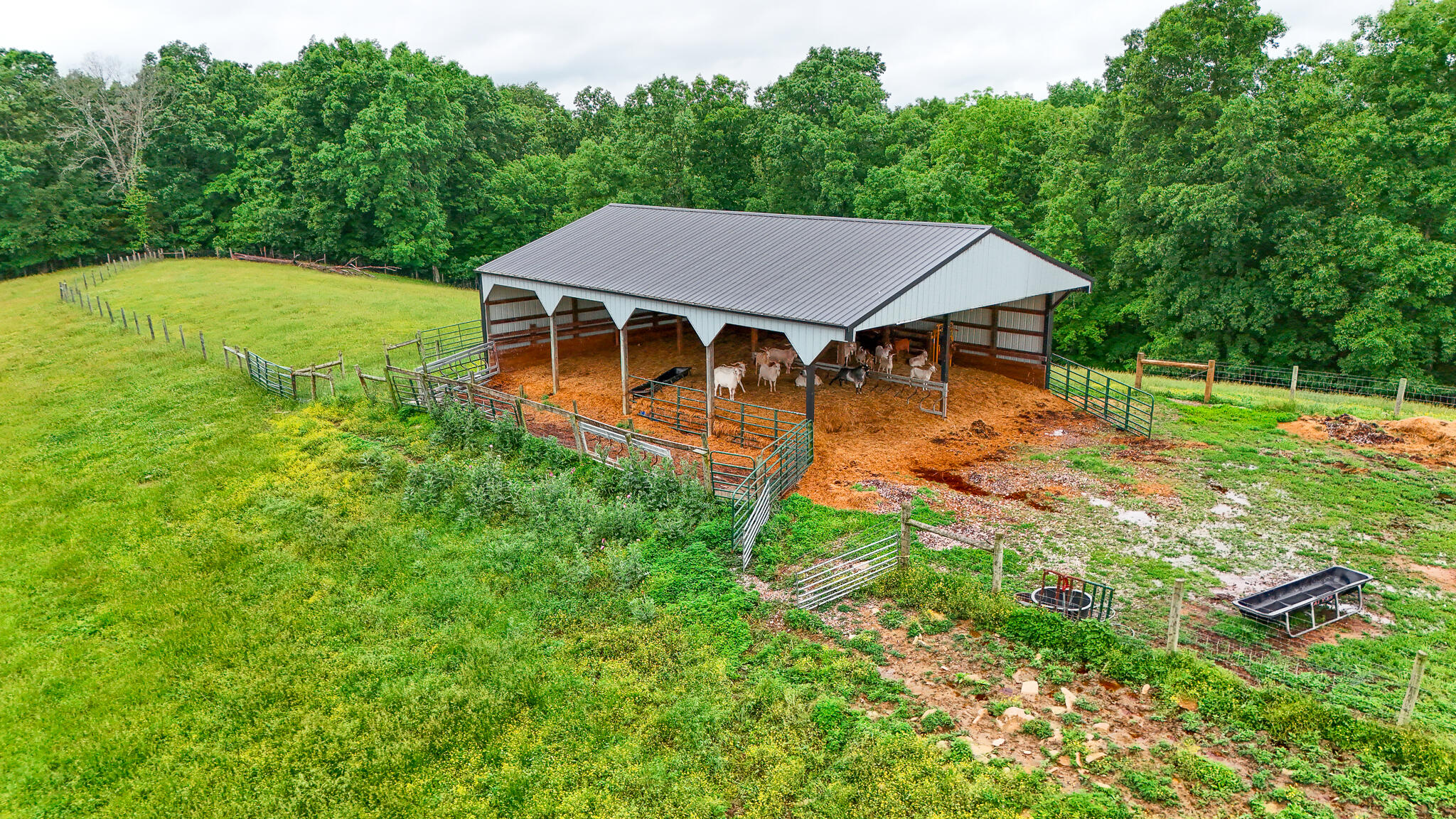 1121a Ashby Road Property Photo 14
