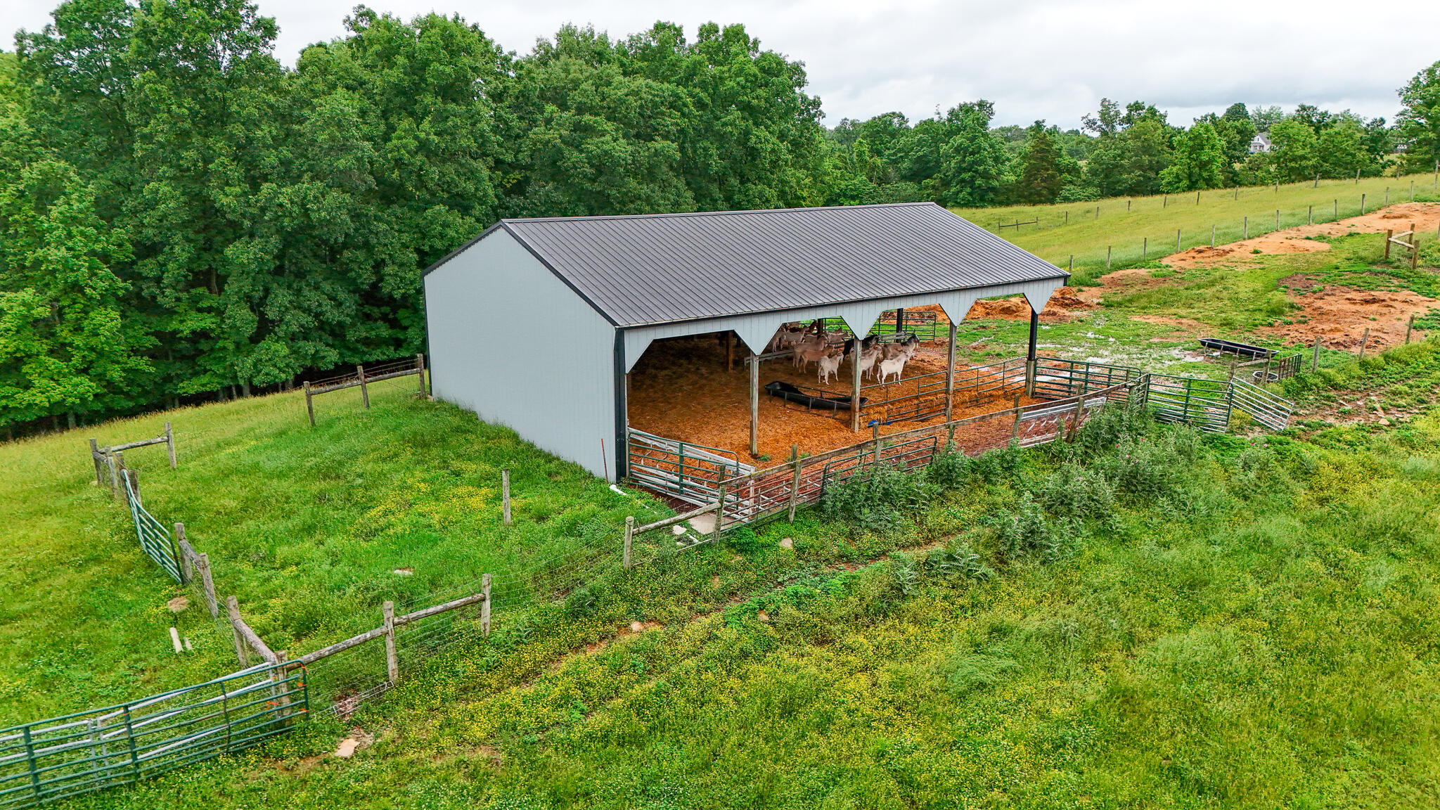 1121a Ashby Road Property Photo 15