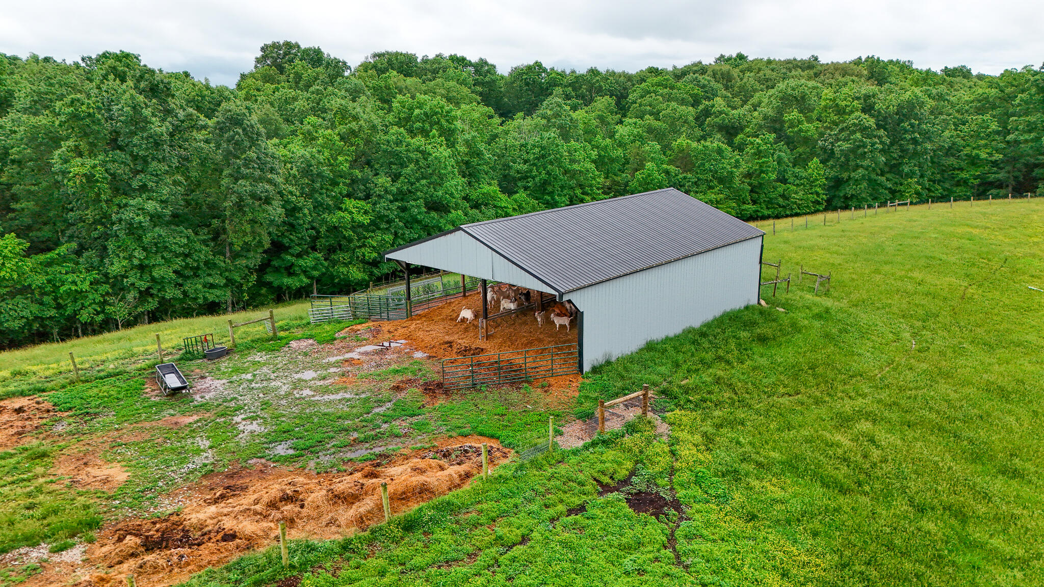 1121a Ashby Road Property Photo 18
