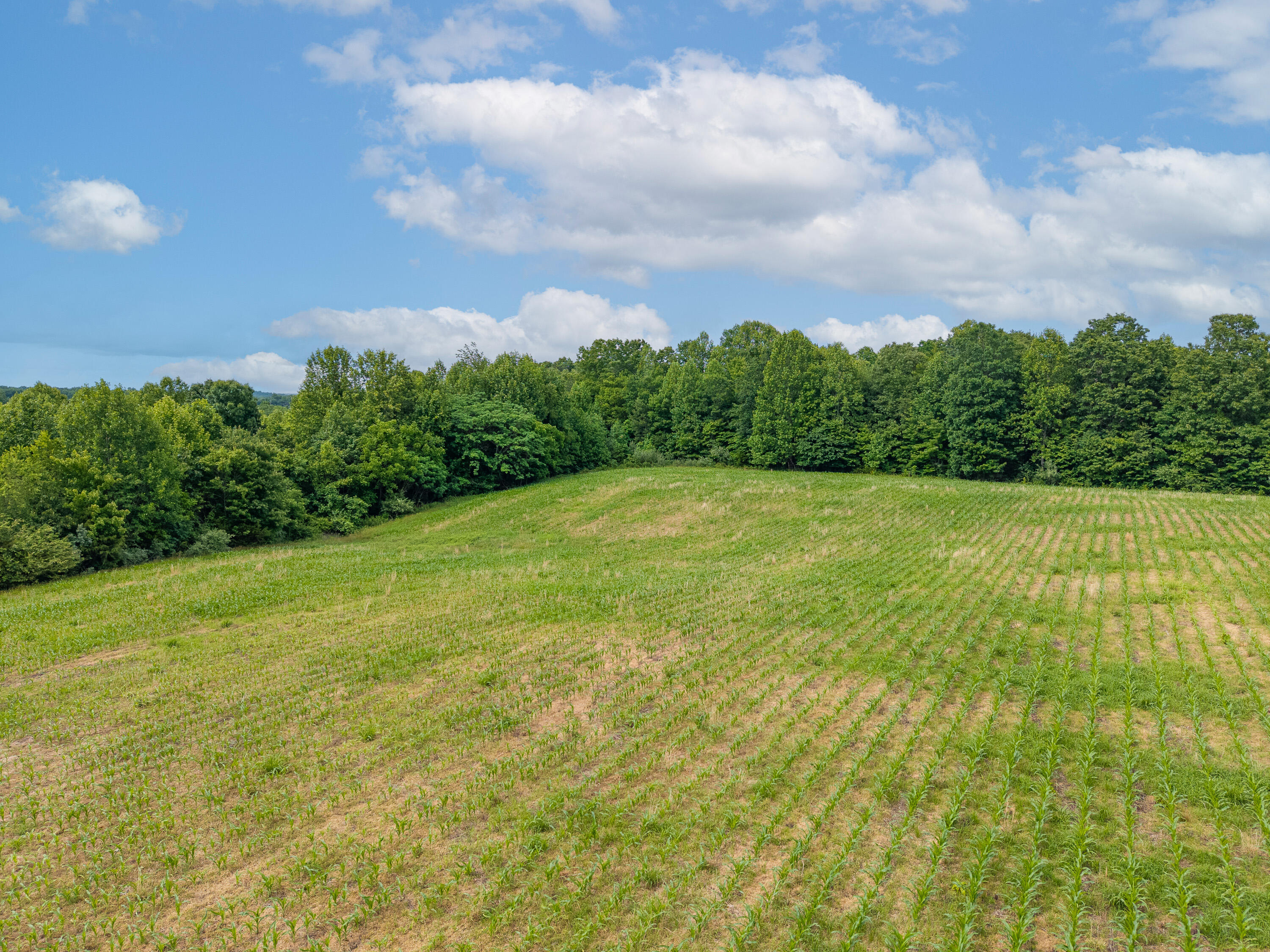 8825 State Highway 1675 Property Photo 5
