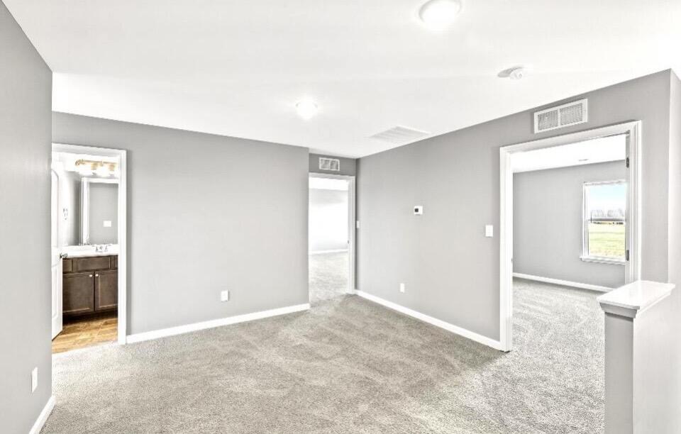 249 Candy Apple Lane Property Photo 10