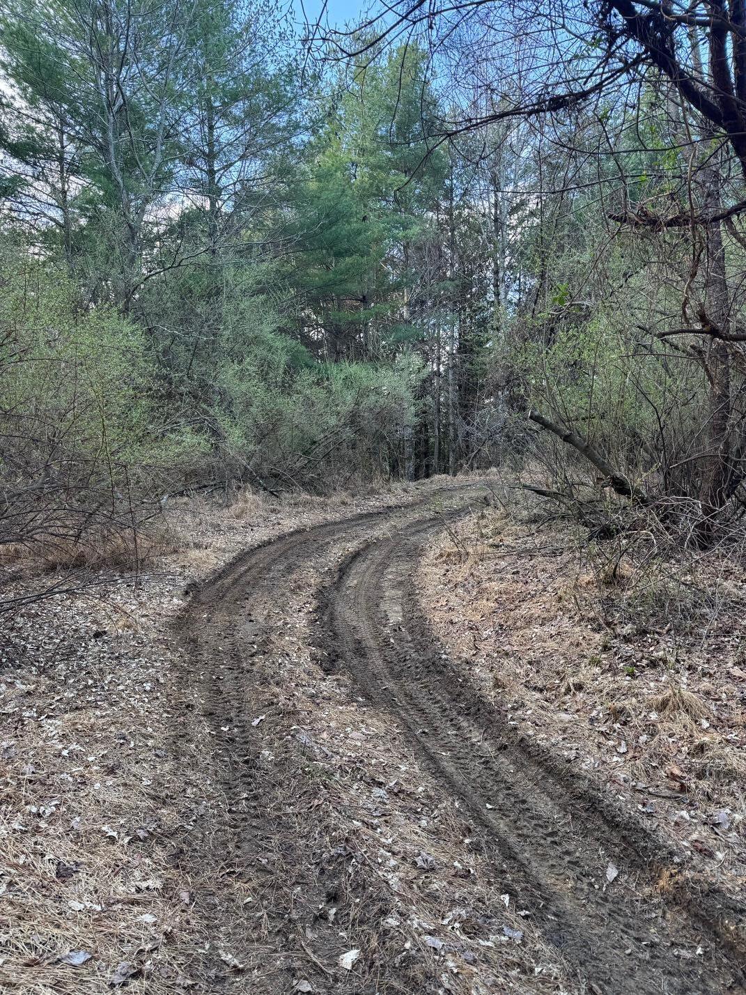 0 Hwy 3484 Property Photo 10