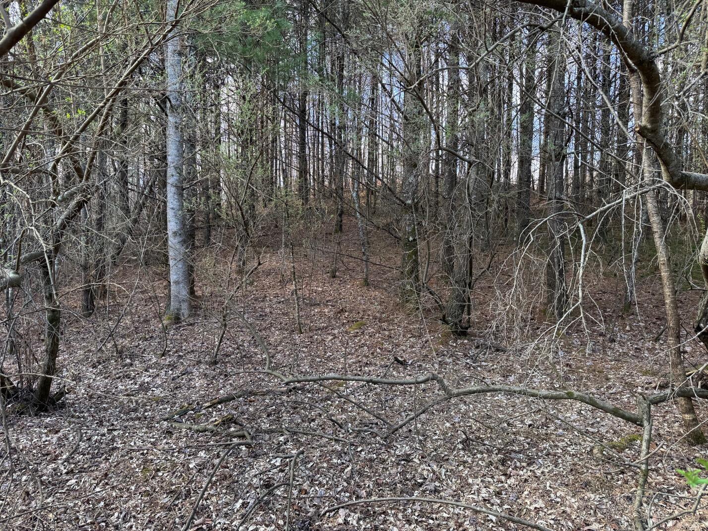 0 Hwy 3484 Property Photo 15
