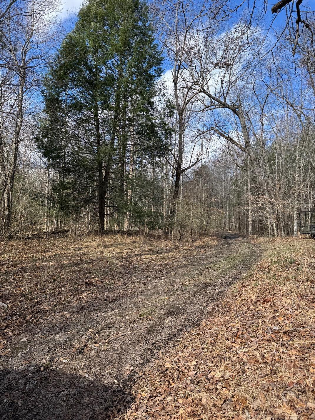 0 Hwy 3484 Property Photo 17
