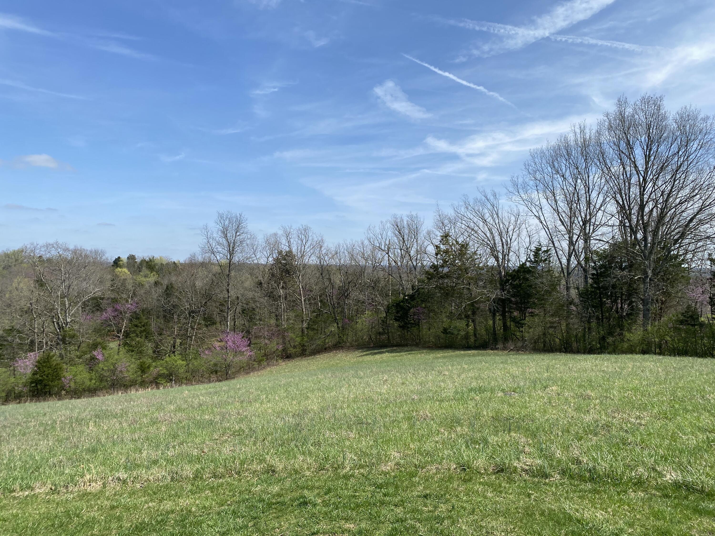 317 Short Road Property Photo 4
