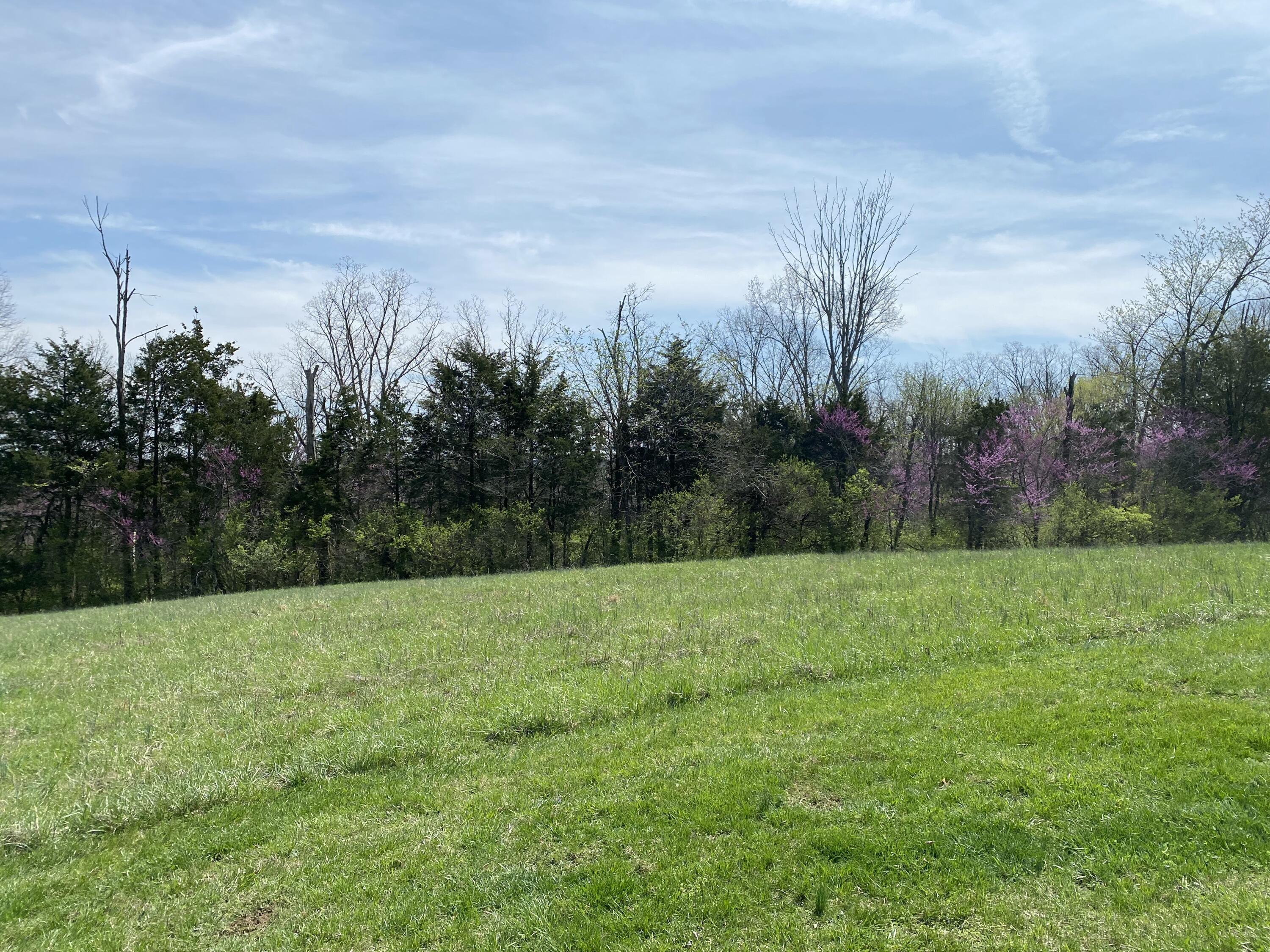 317 Short Road Property Photo 5