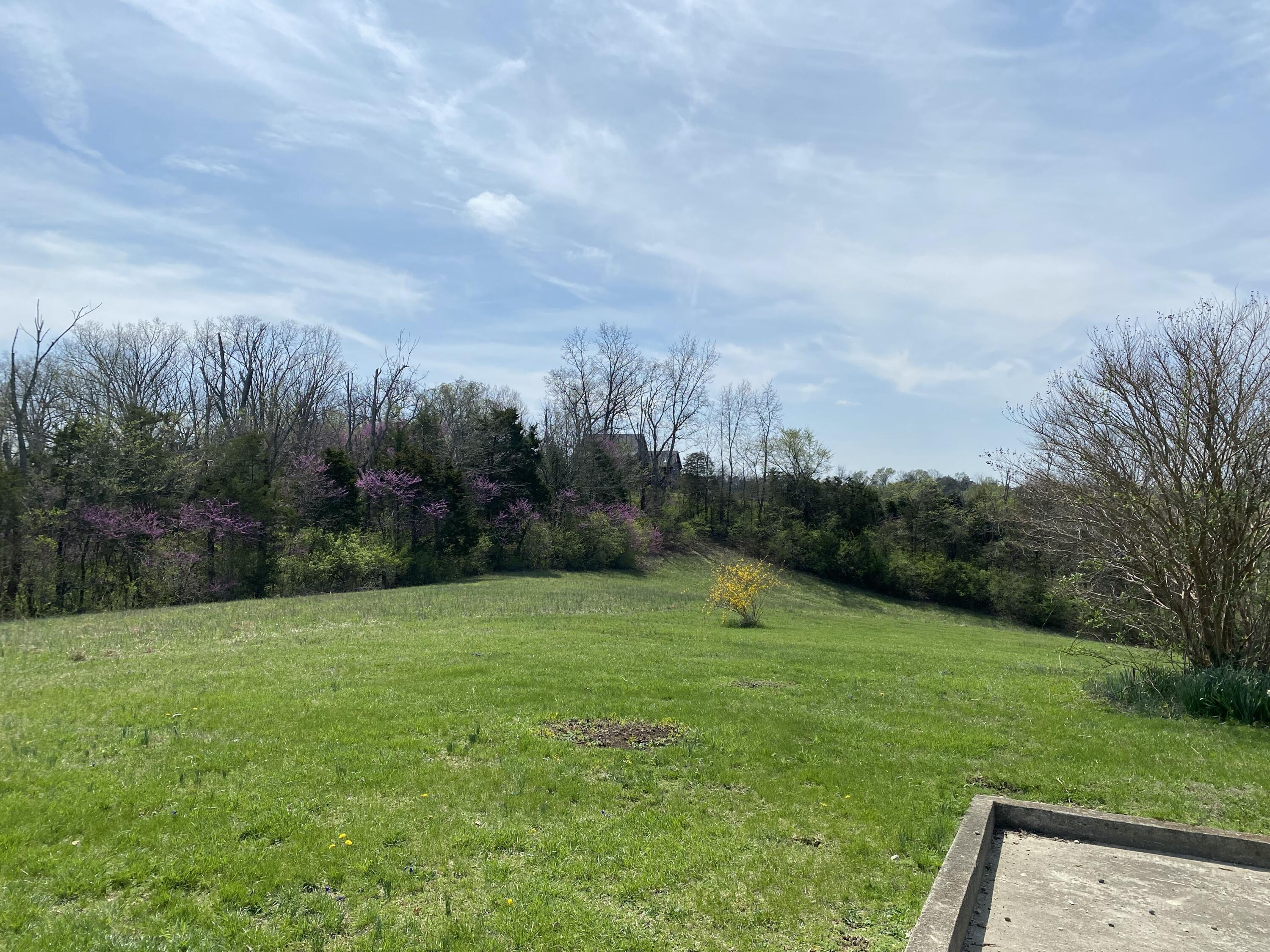 317 Short Road Property Photo 7