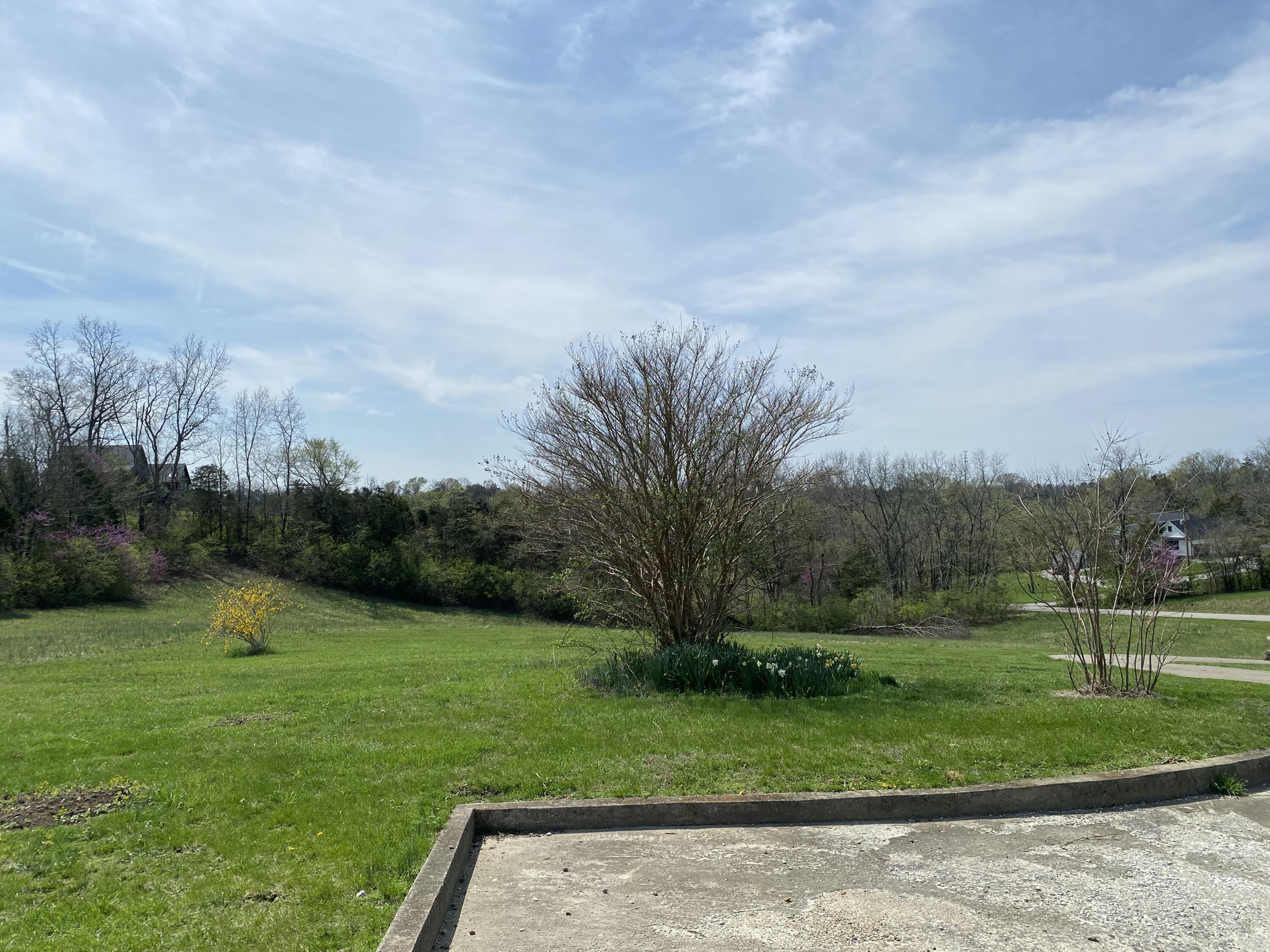 317 Short Road Property Photo 8