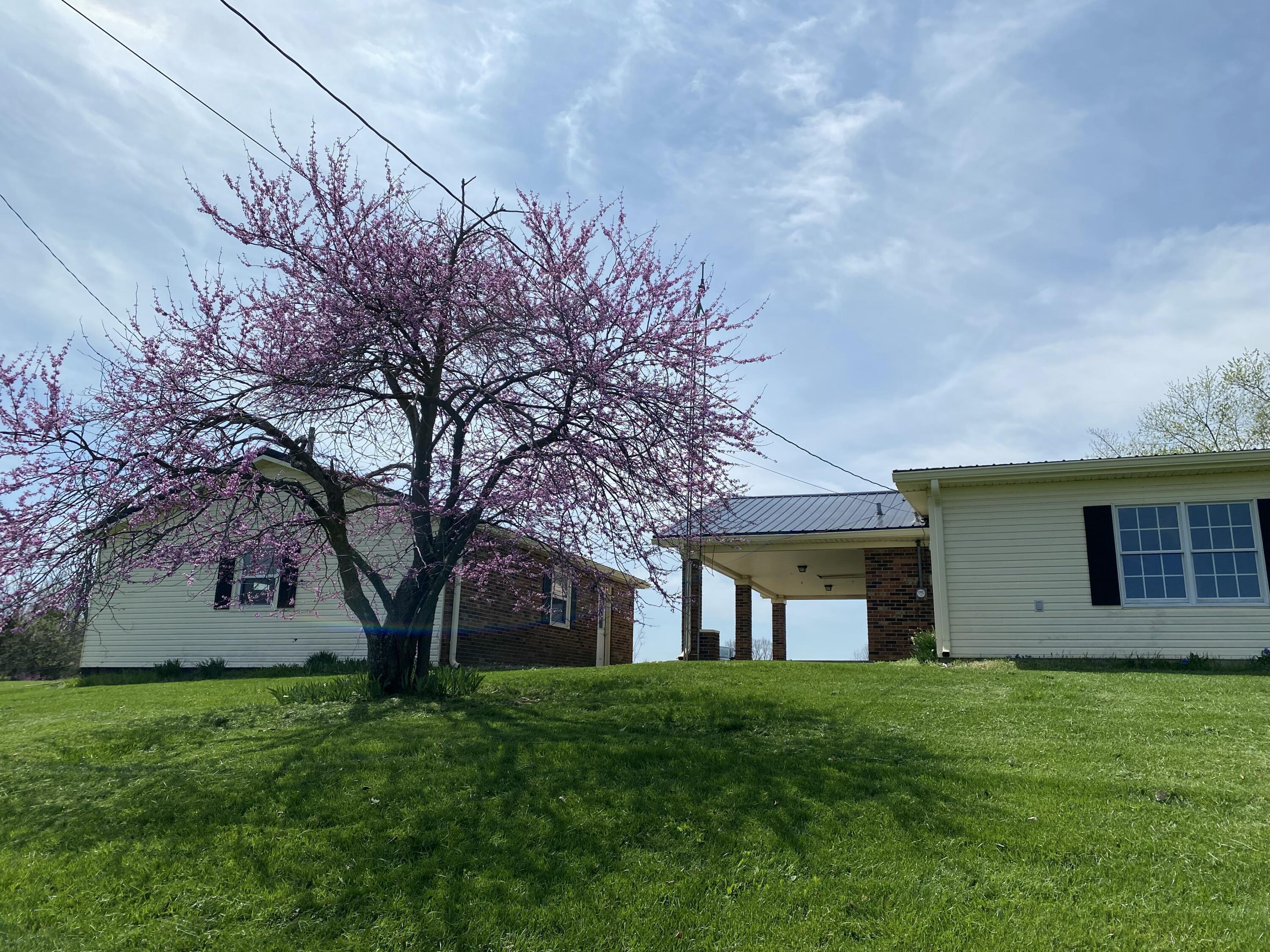 317 Short Road Property Photo 18