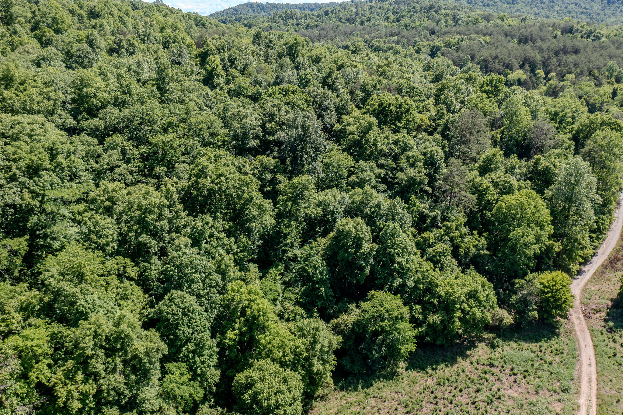 5860 Ky-790 Property Photo 34