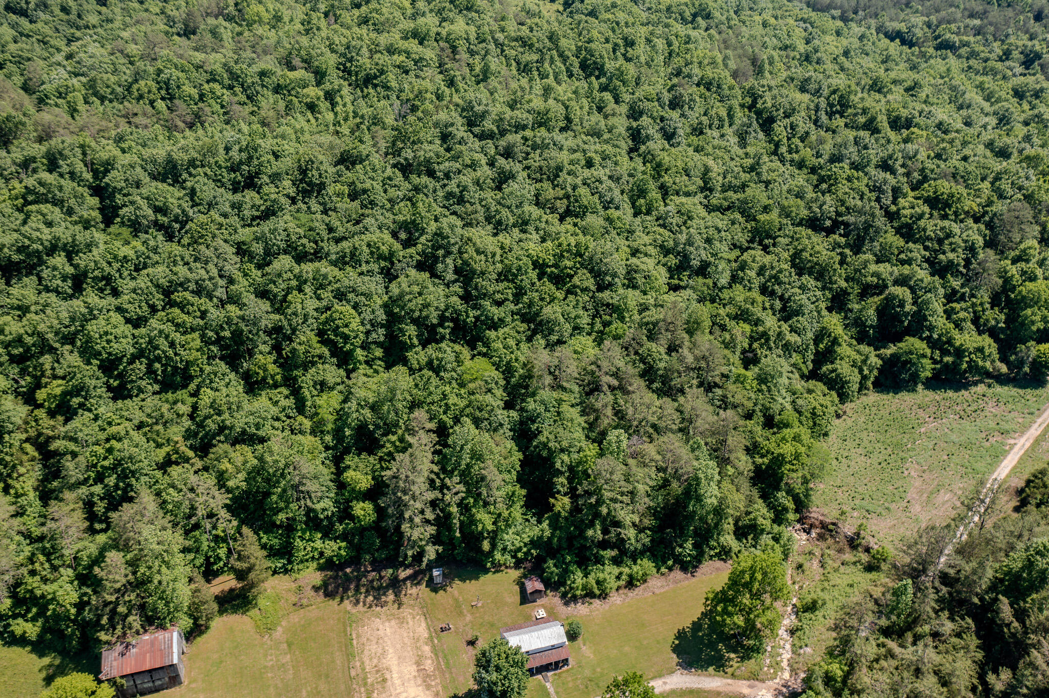 5860 Ky-790 Property Photo 43